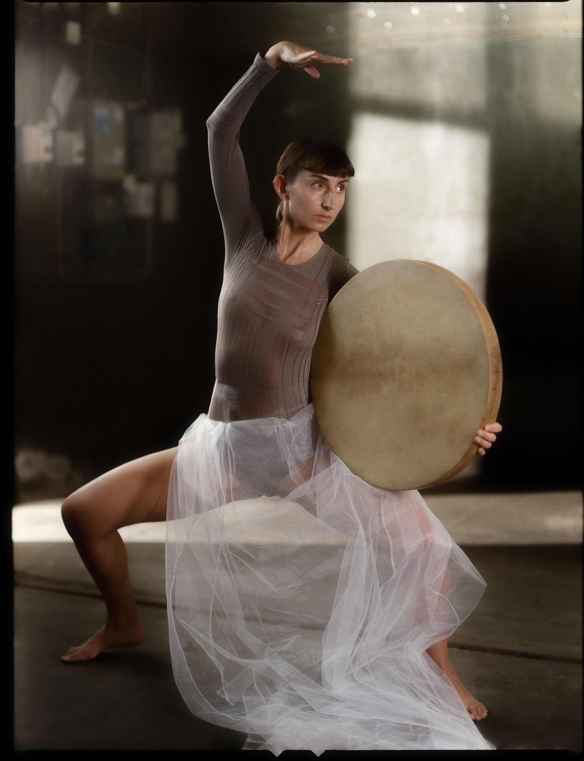 © Alexis Rodríguez Cancino. All Rights Reserved.