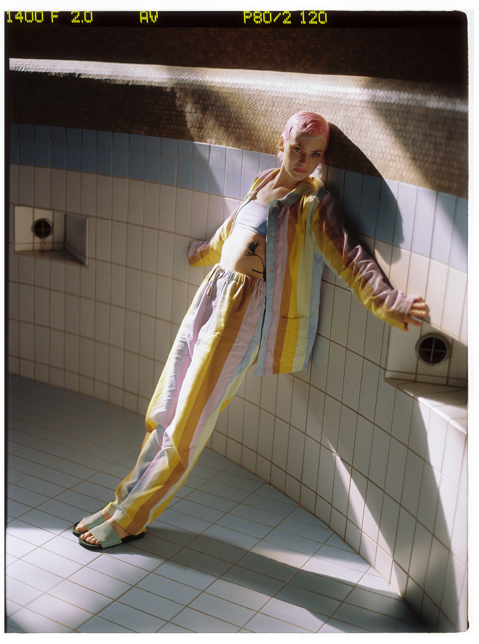 © Alexis Rodríguez Cancino. All Rights Reserved.