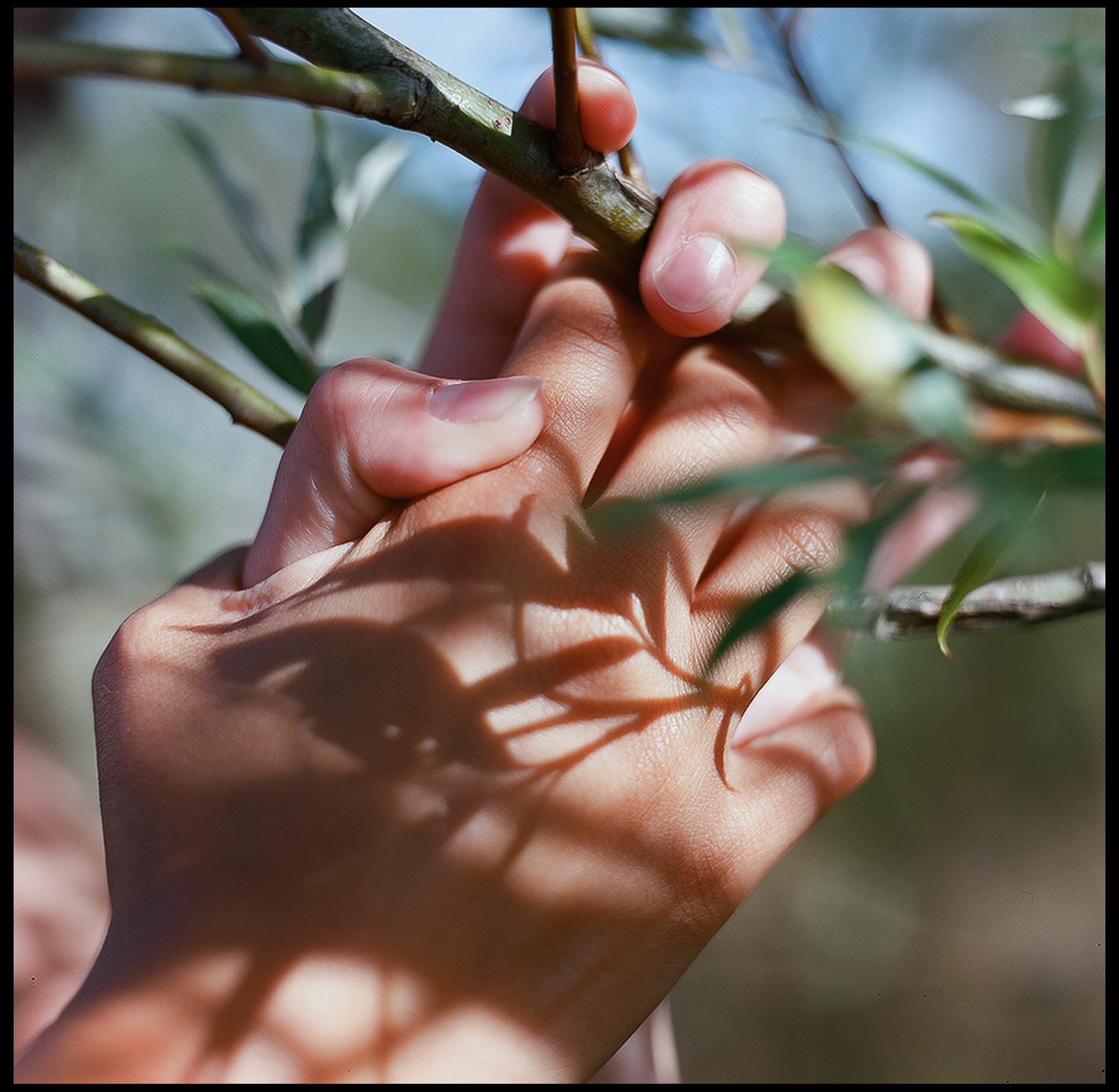 © Alexis Rodríguez Cancino. All Rights Reserved.