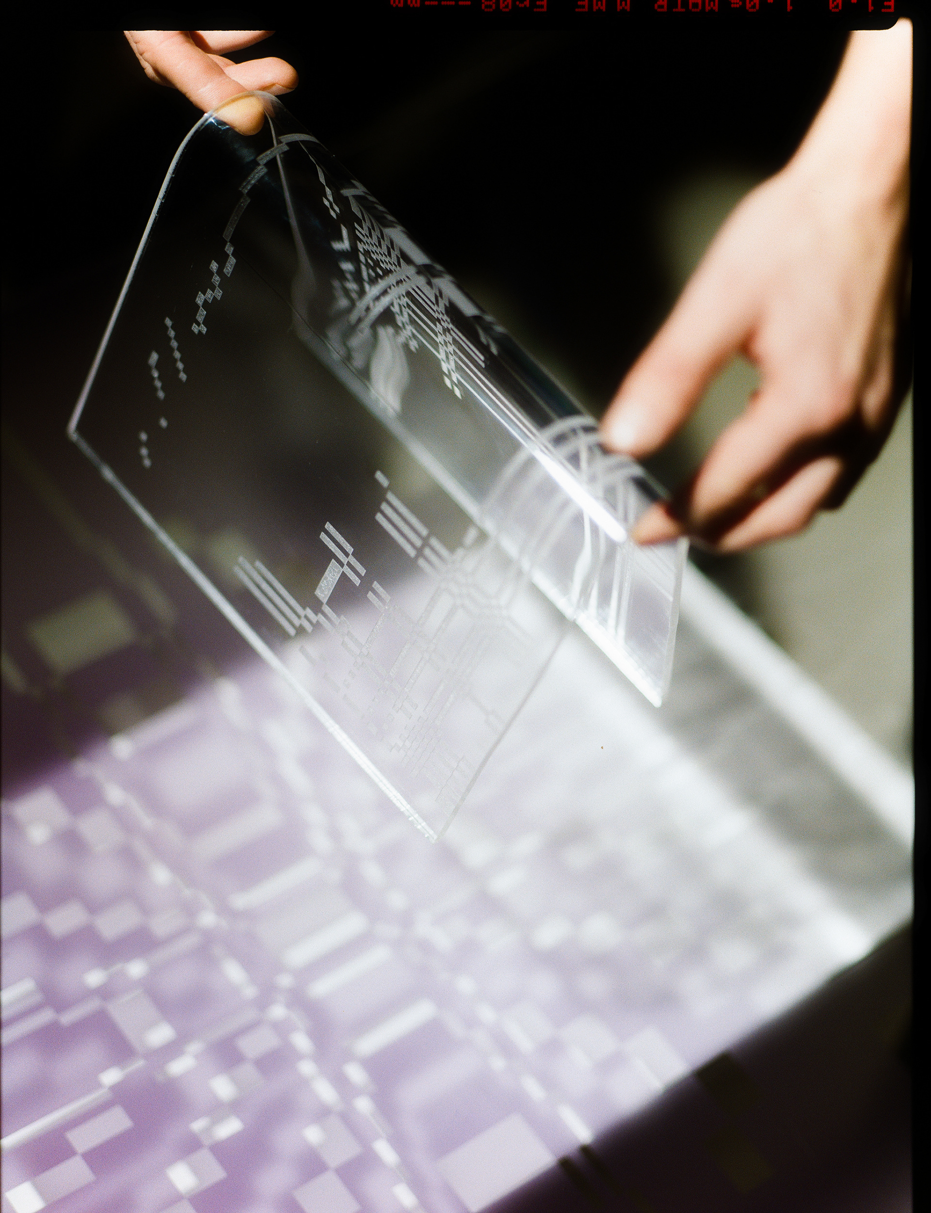 © Alexis Rodríguez Cancino. All Rights Reserved.