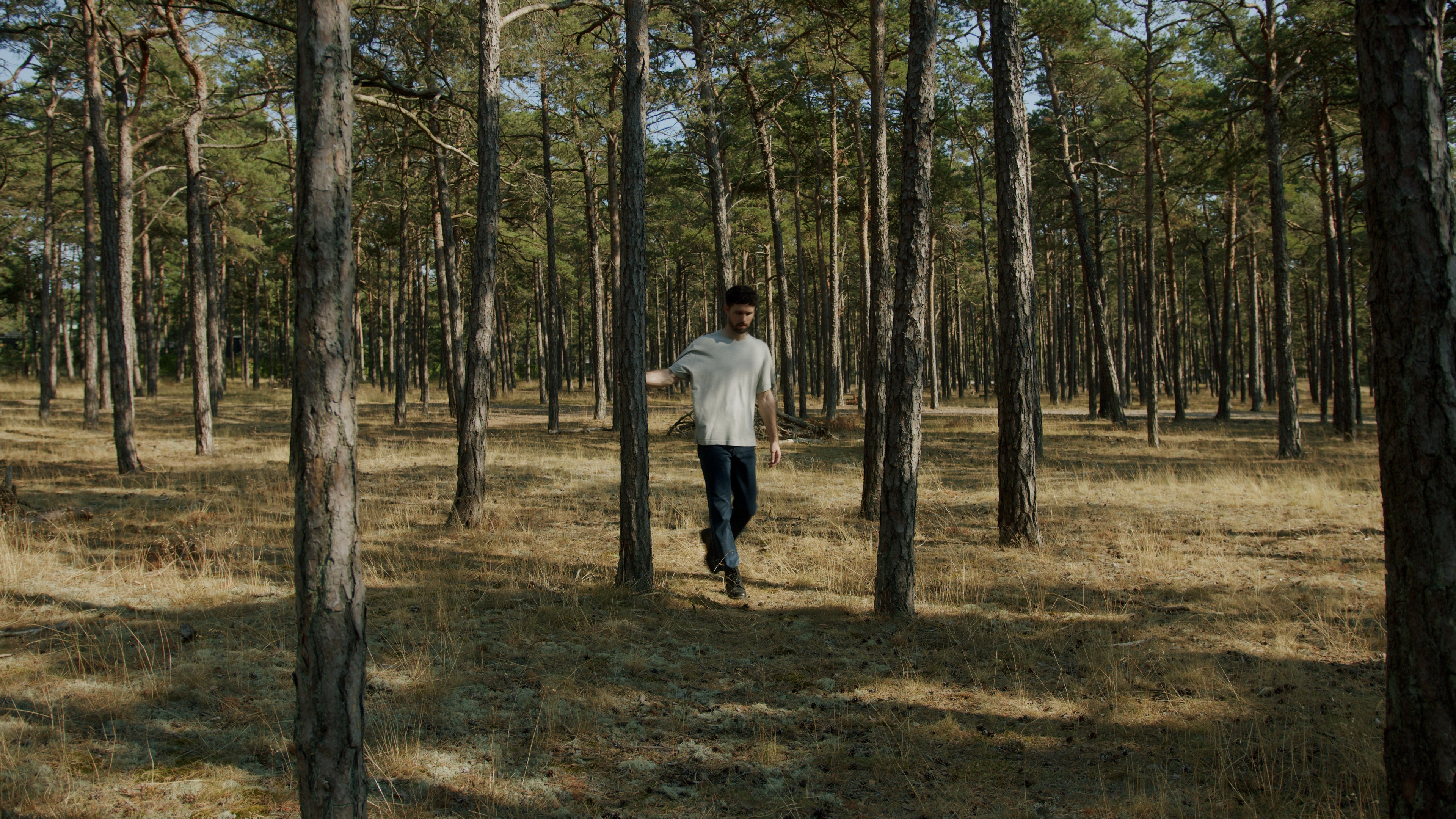 Liminal / Jannik Jivung - Hölviken 2022