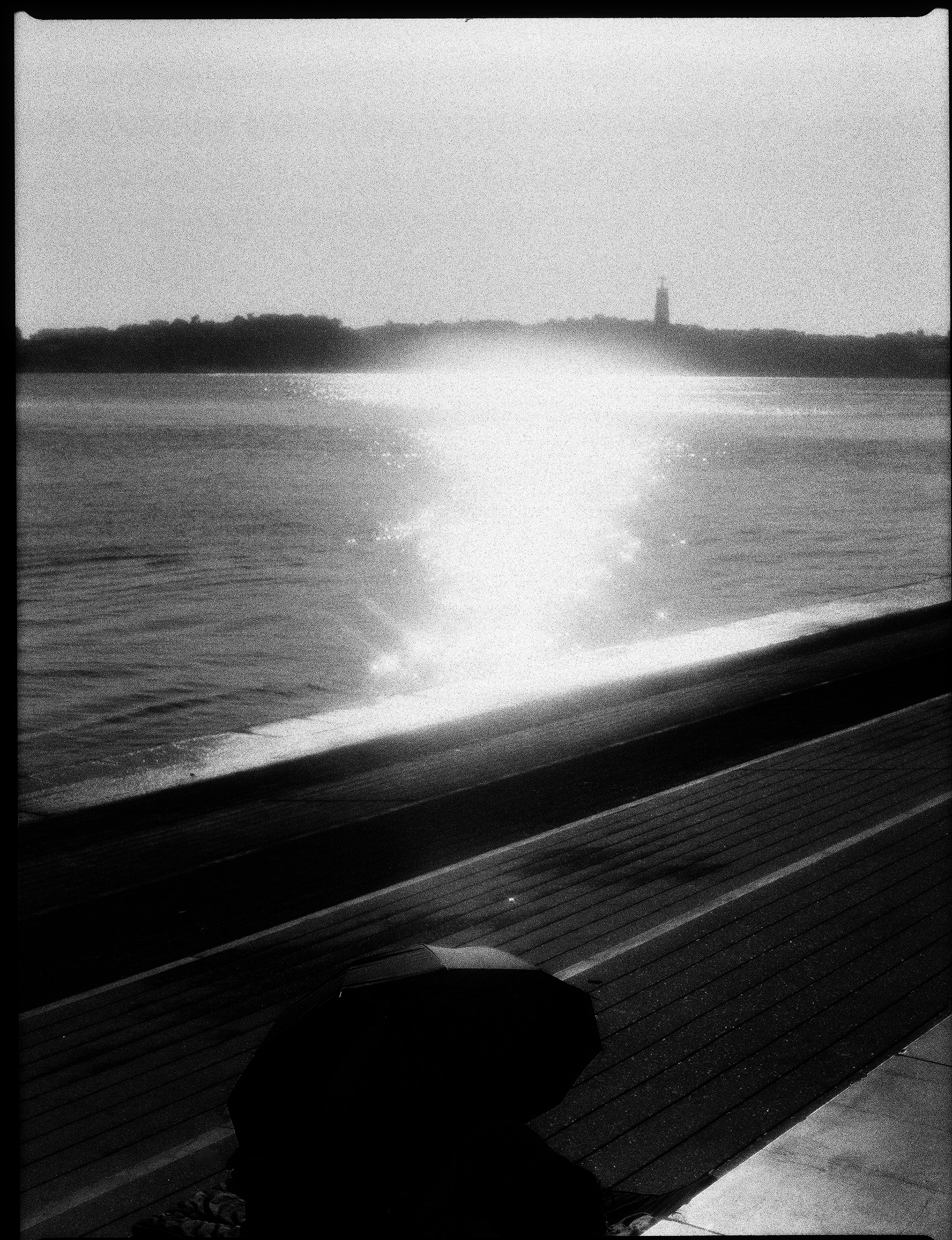 © Alexis Rodríguez Cancino. All Rights Reserved.