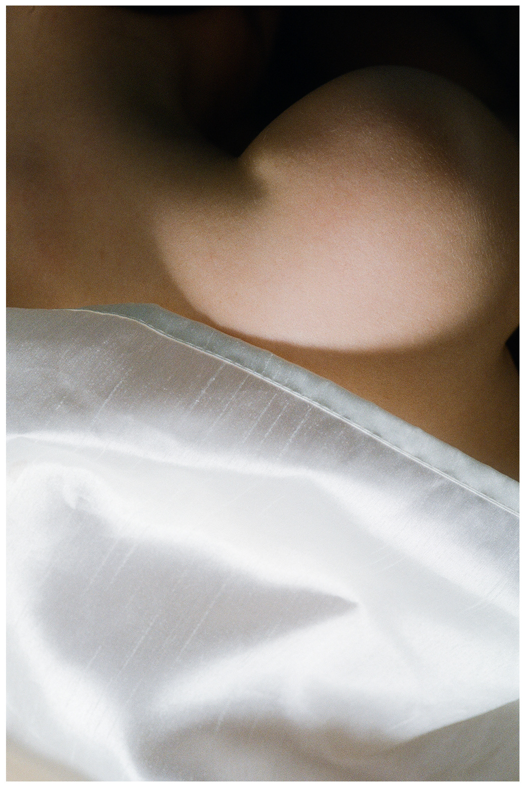 © Alexis Rodríguez Cancino. All Rights Reserved.