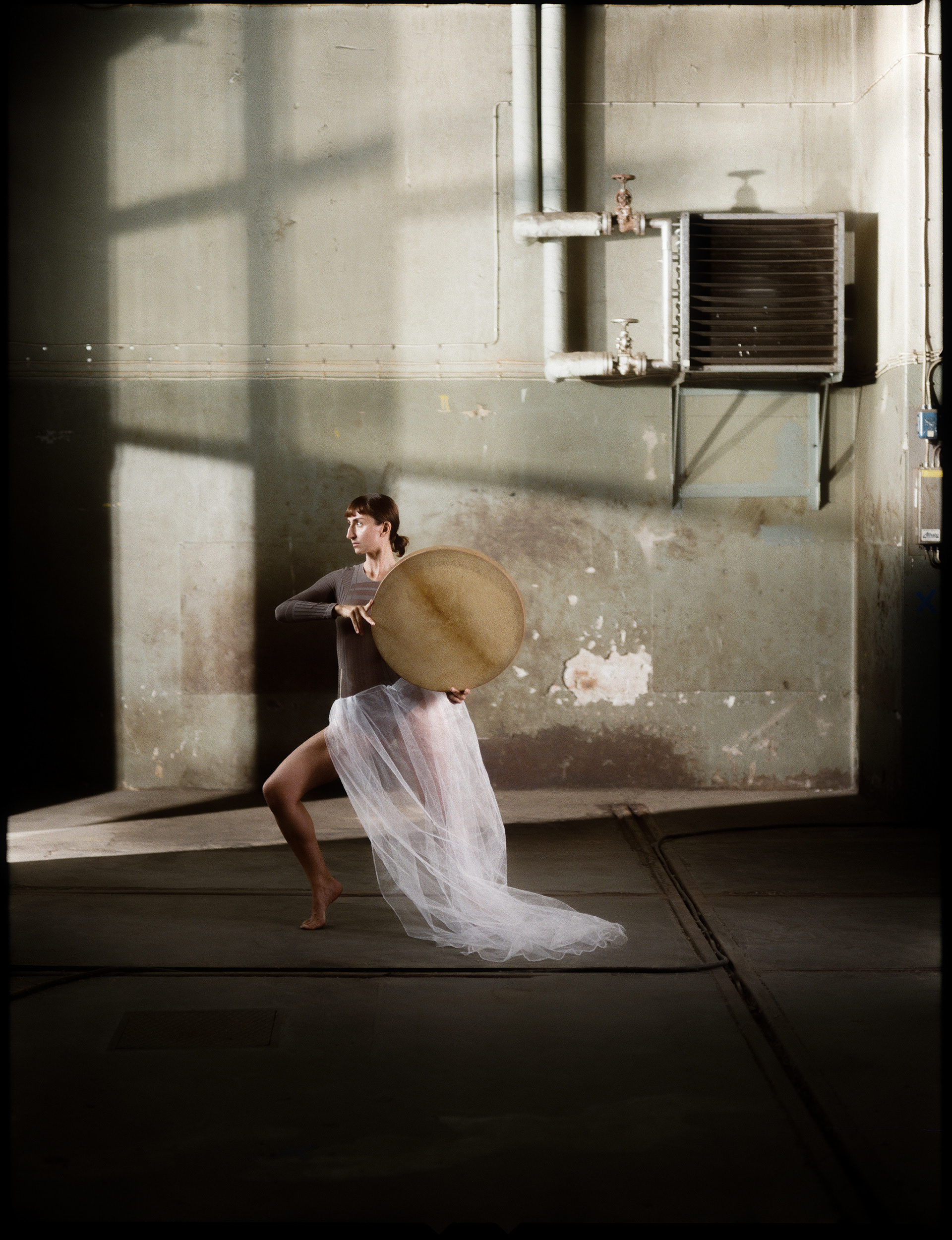 © Alexis Rodríguez Cancino. All Rights Reserved.