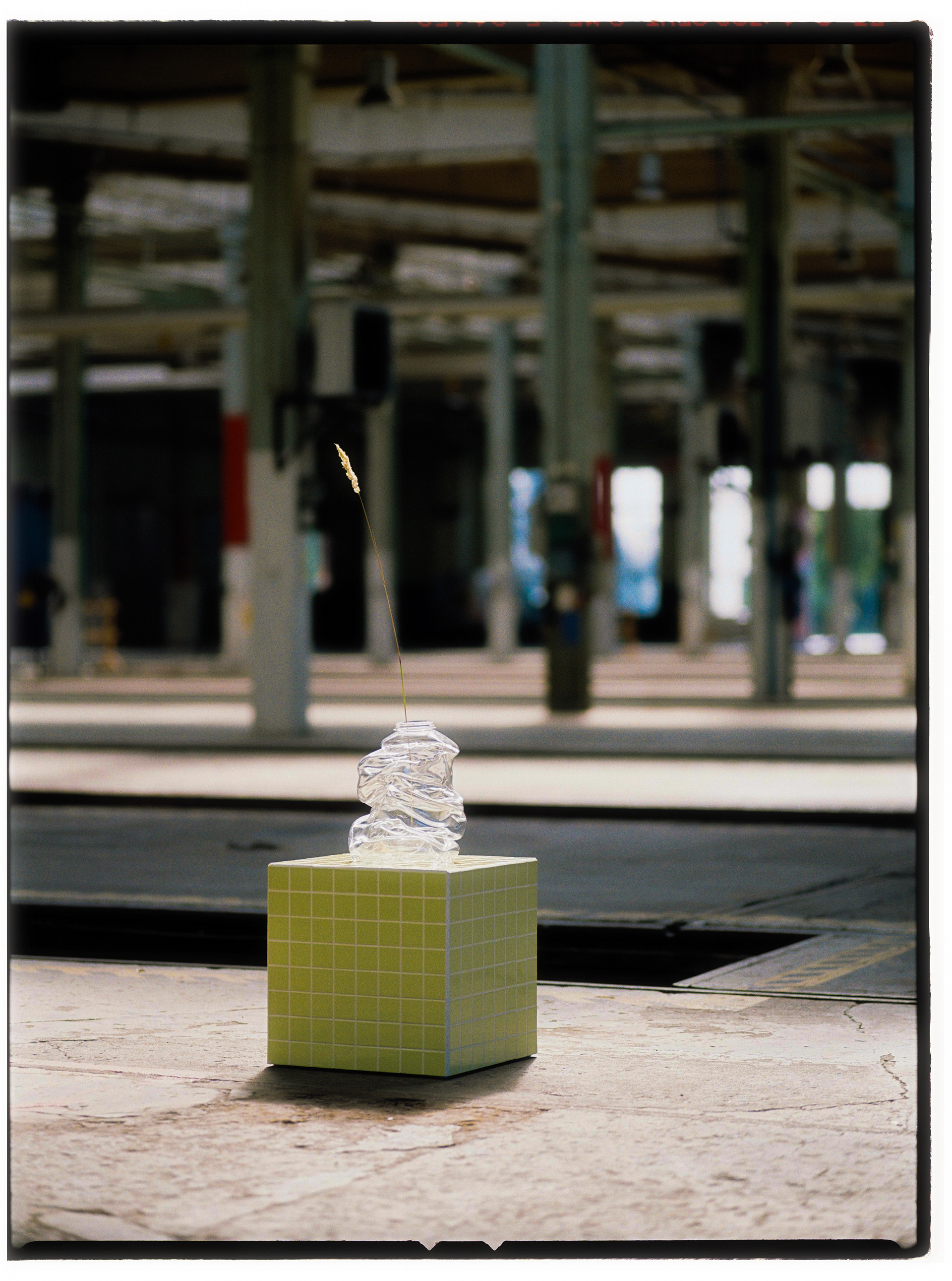 © Alexis Rodríguez Cancino. All Rights Reserved.