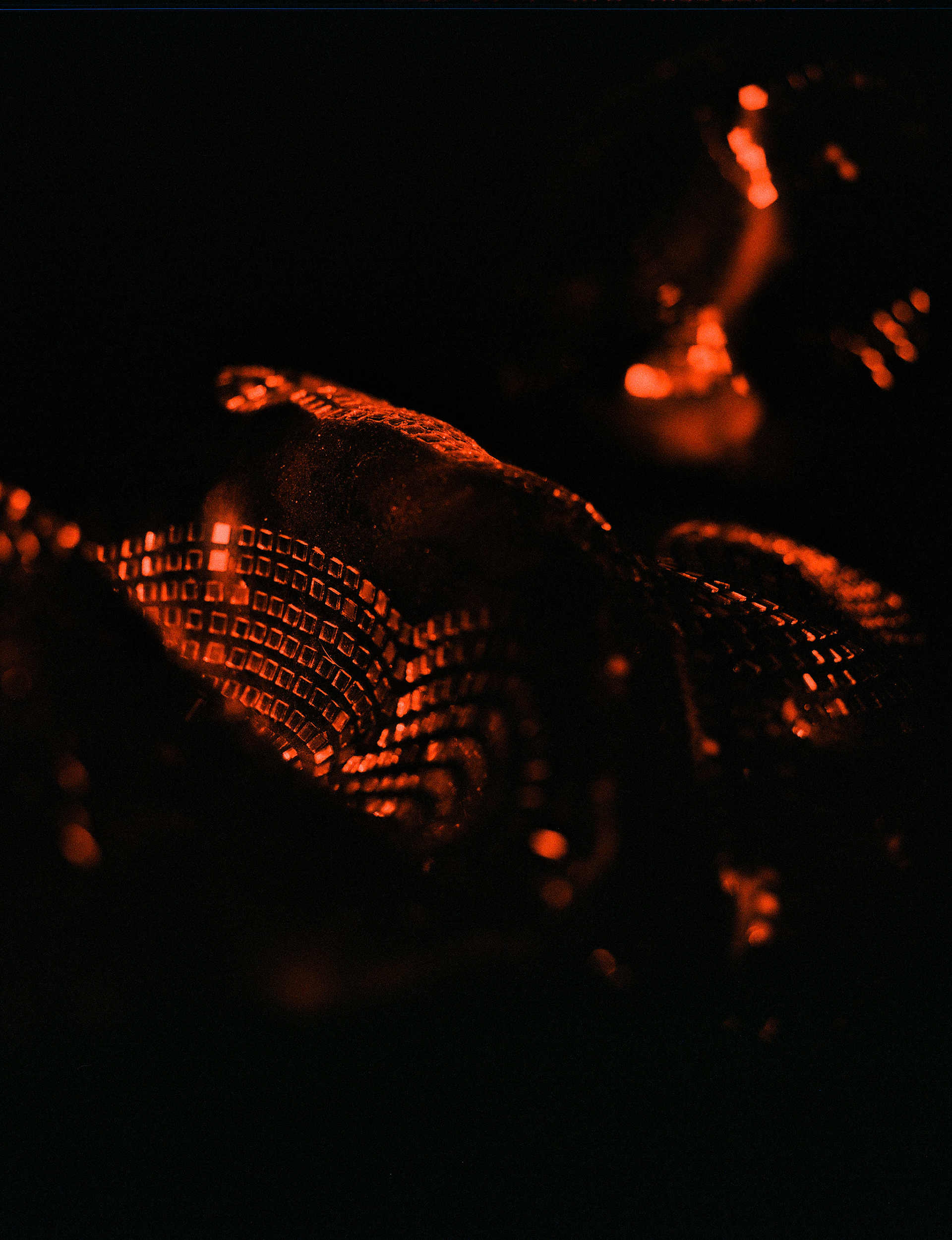 © Alexis Rodríguez Cancino. All Rights Reserved.