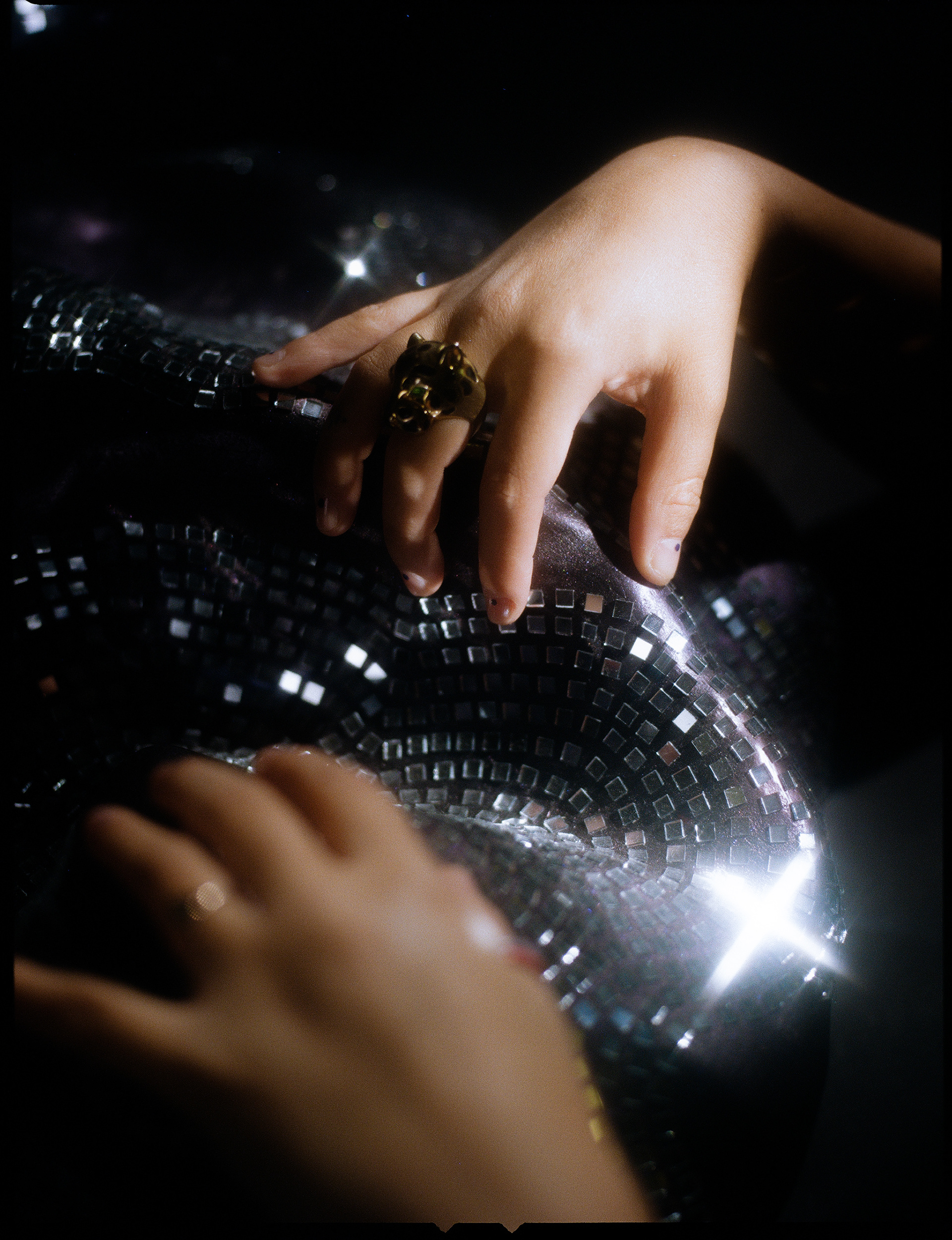 © Alexis Rodríguez Cancino. All Rights Reserved.