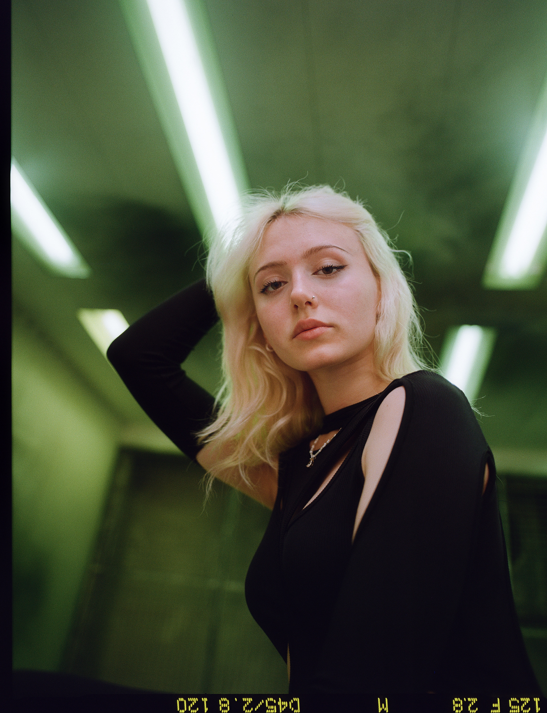 © Alexis Rodríguez Cancino. All Rights Reserved.