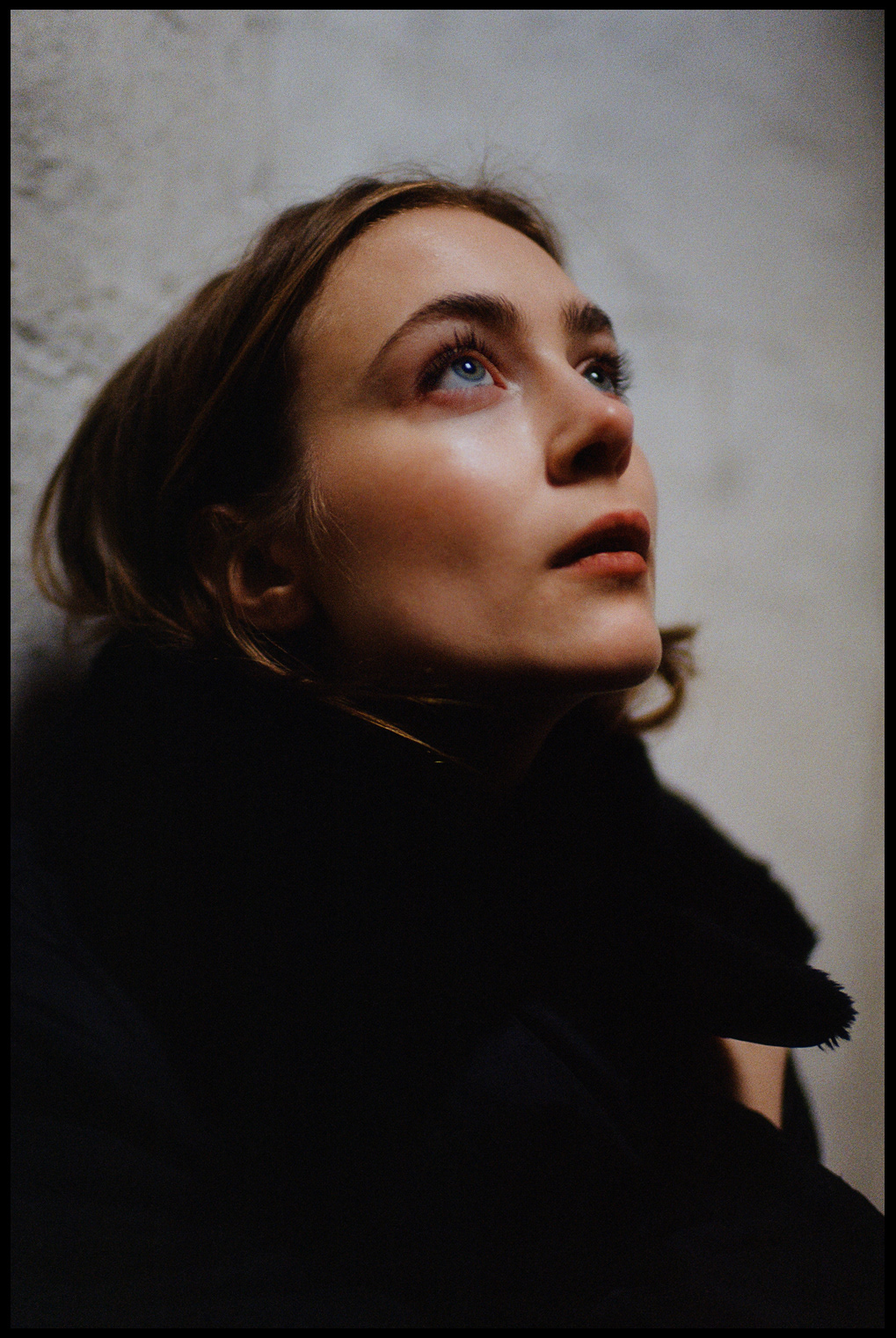 © Alexis Rodríguez Cancino. All Rights Reserved.