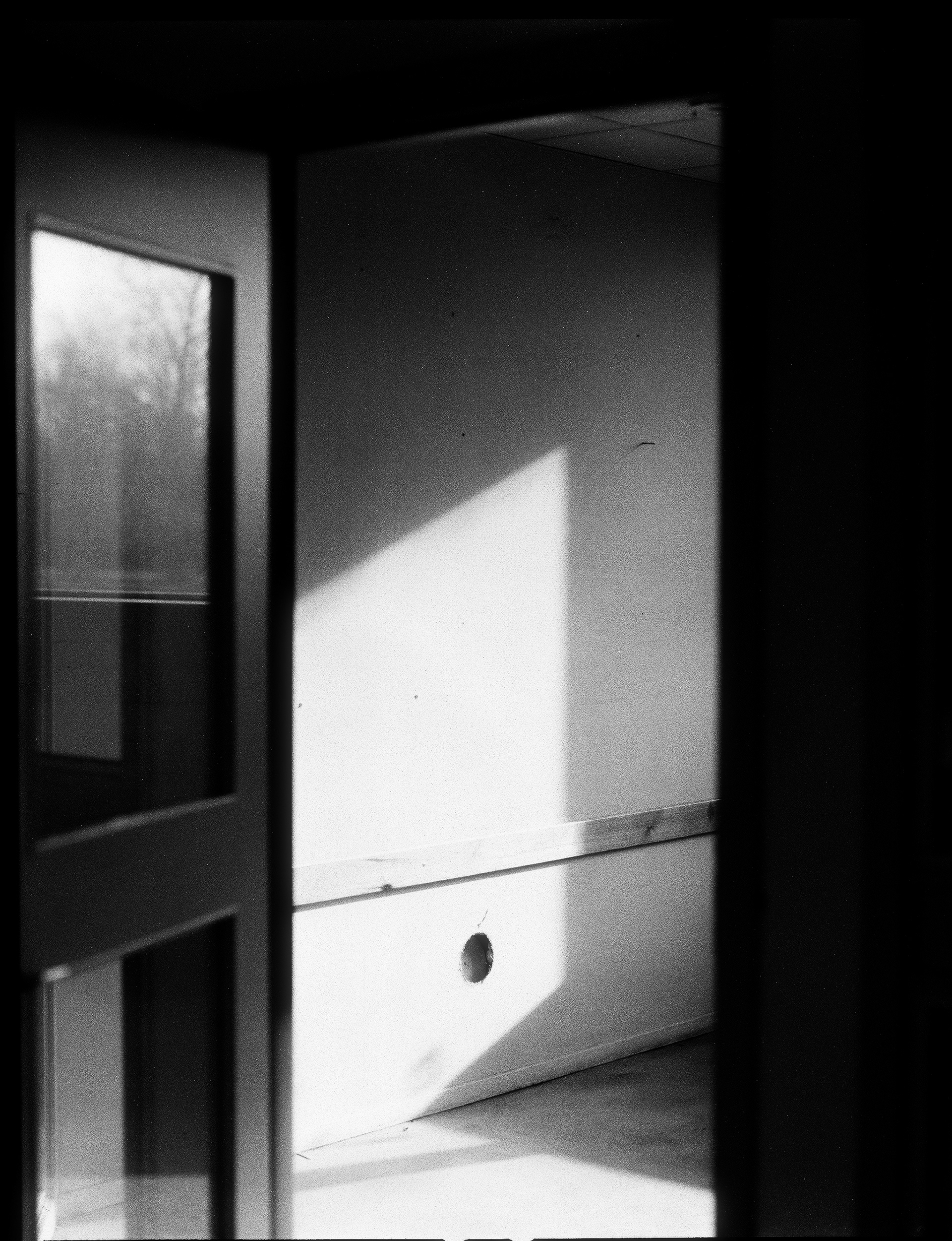 © Alexis Rodríguez Cancino. All Rights Reserved.