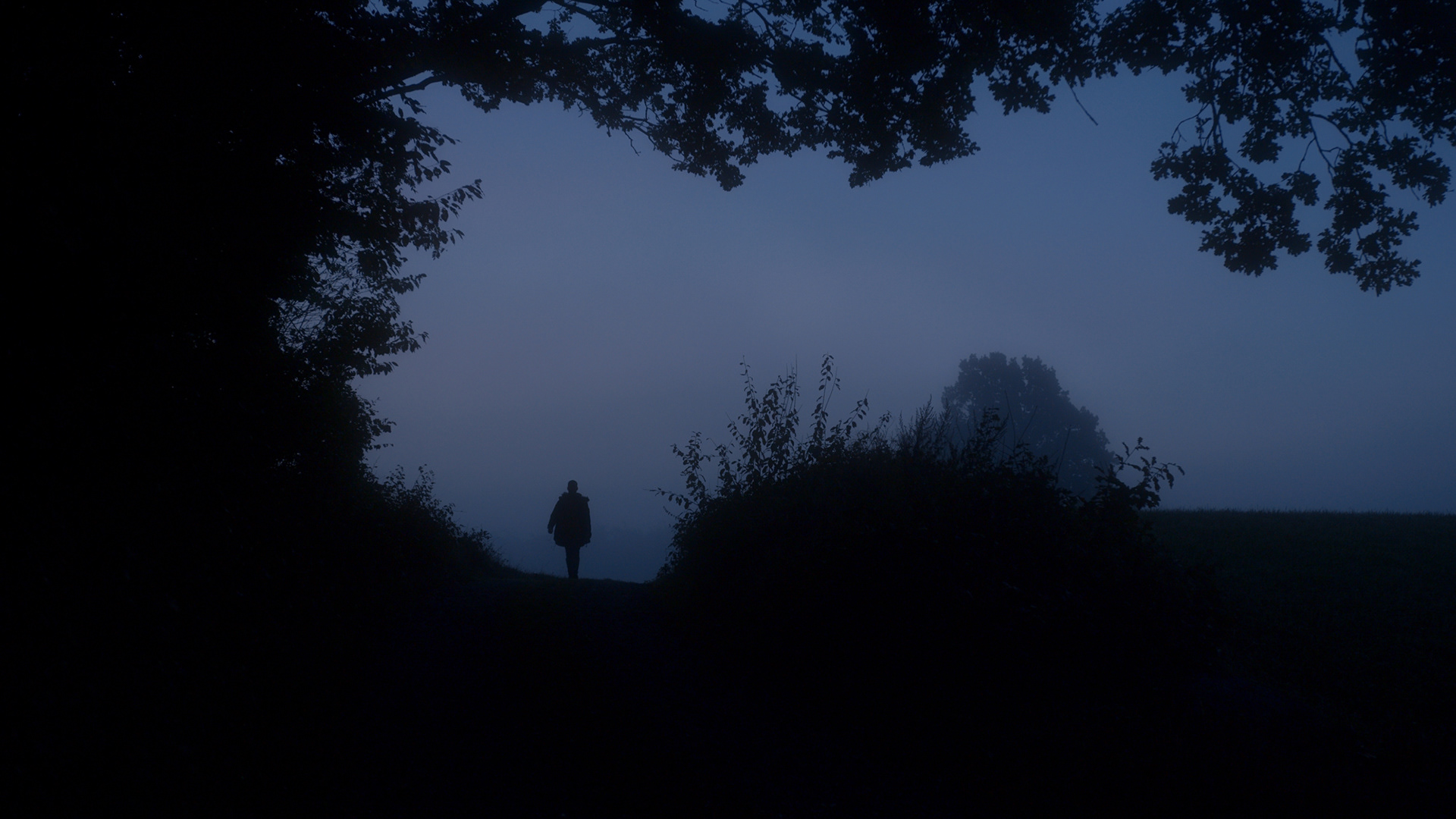 Native Instruments / Sebastian Mullaert - Röstånga, 2021