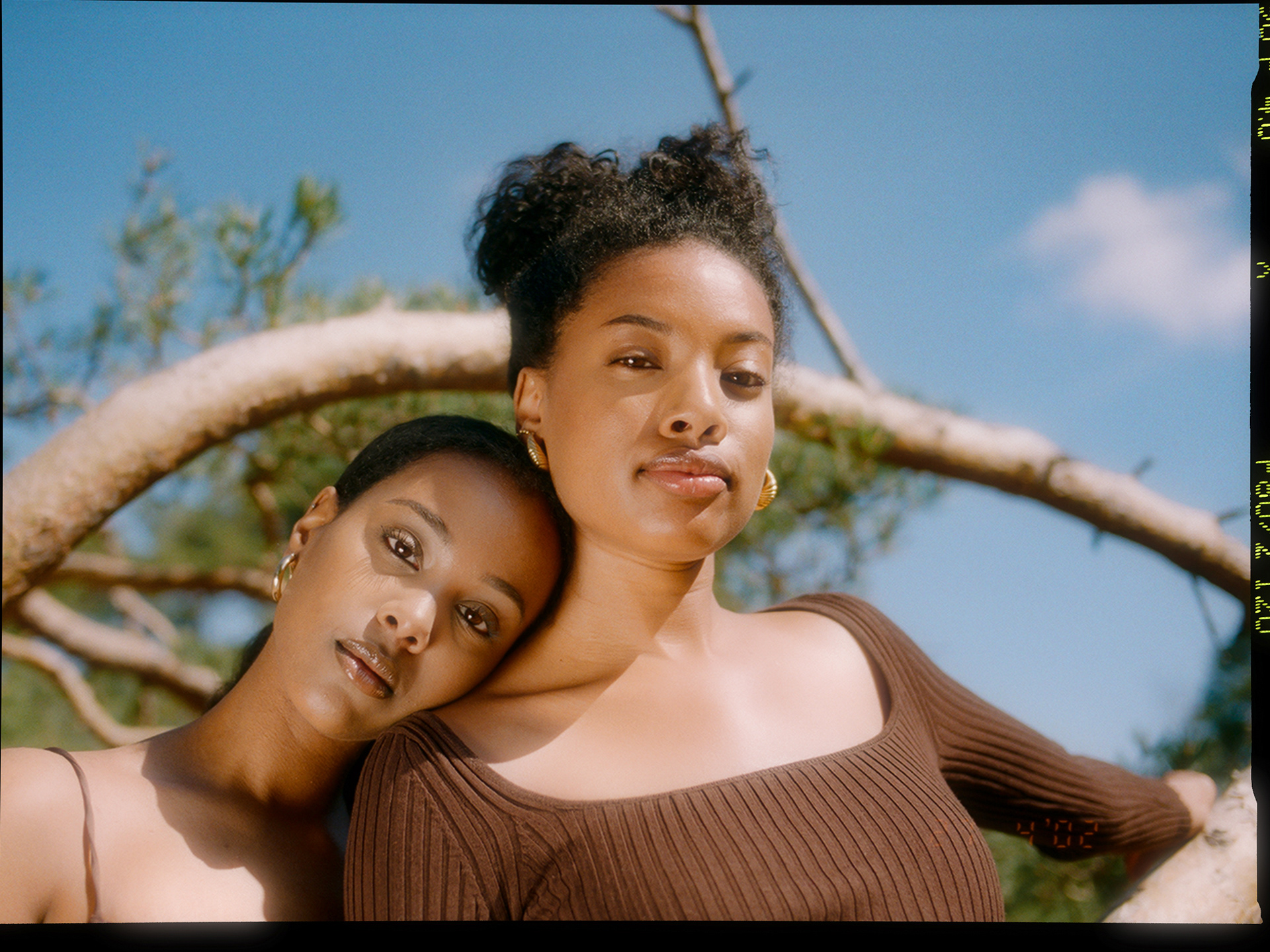 © Alexis Rodríguez Cancino. All Rights Reserved.