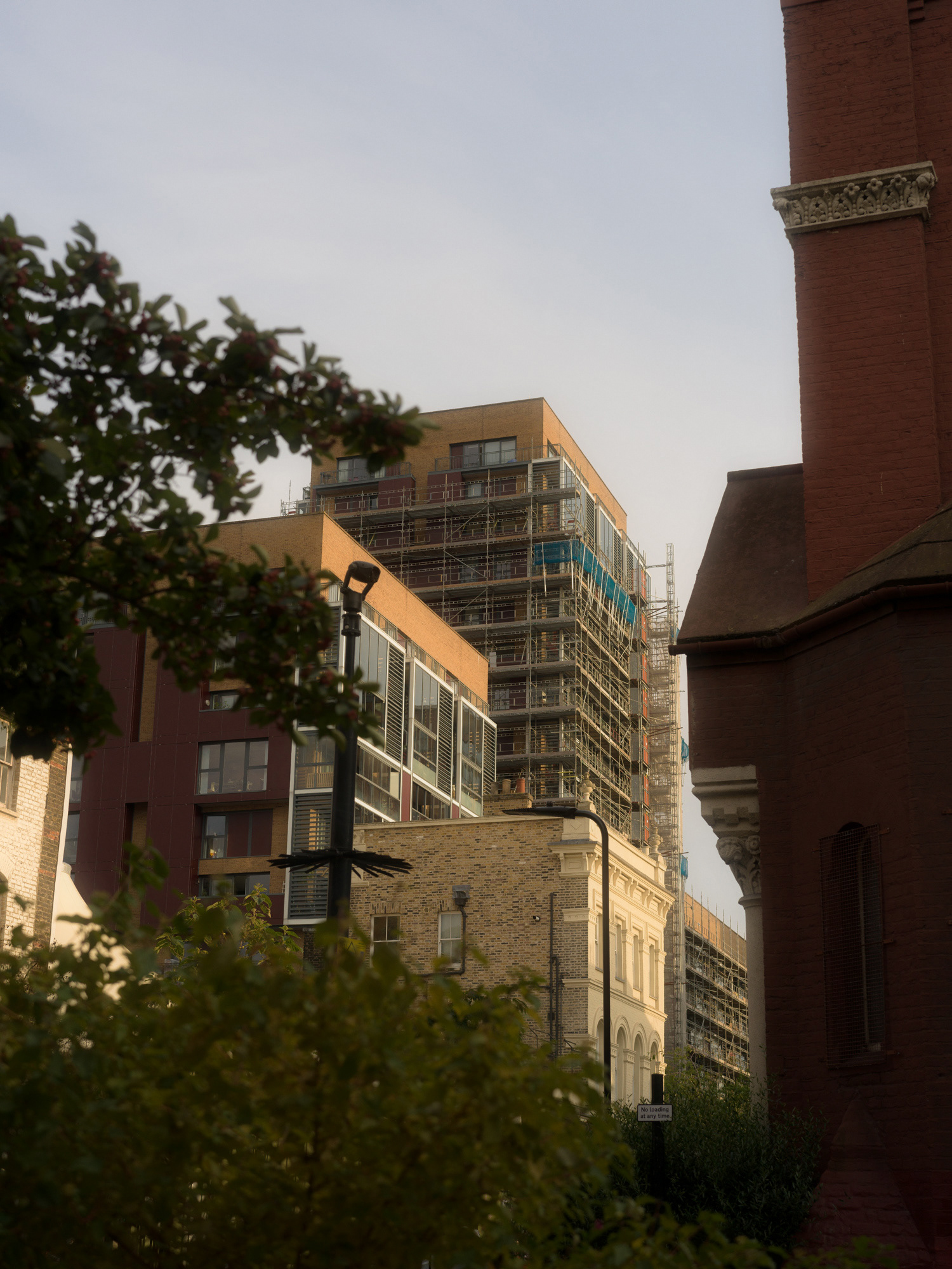 © Alexis Rodríguez Cancino. All Rights Reserved.