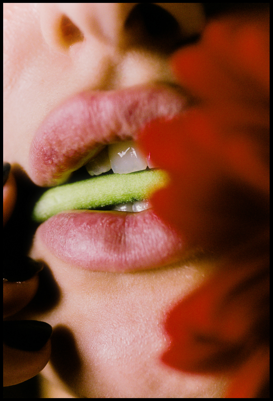 © Alexis Rodríguez Cancino. All Rights Reserved.