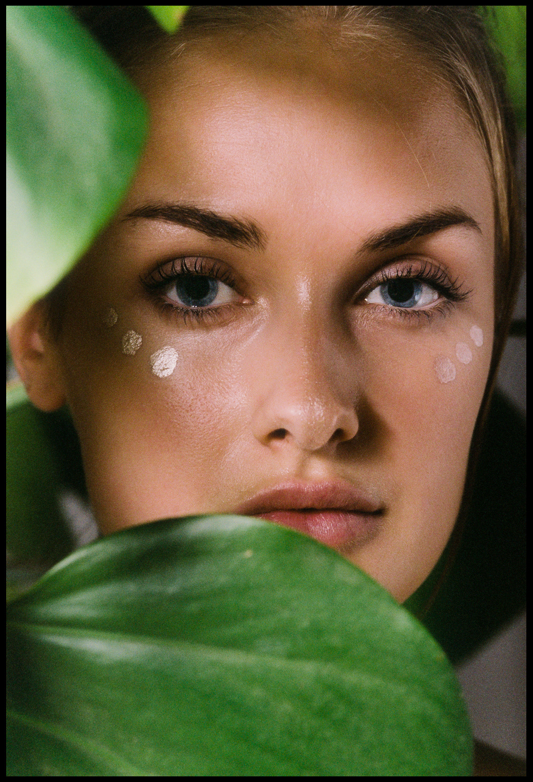 © Alexis Rodríguez Cancino. All Rights Reserved.