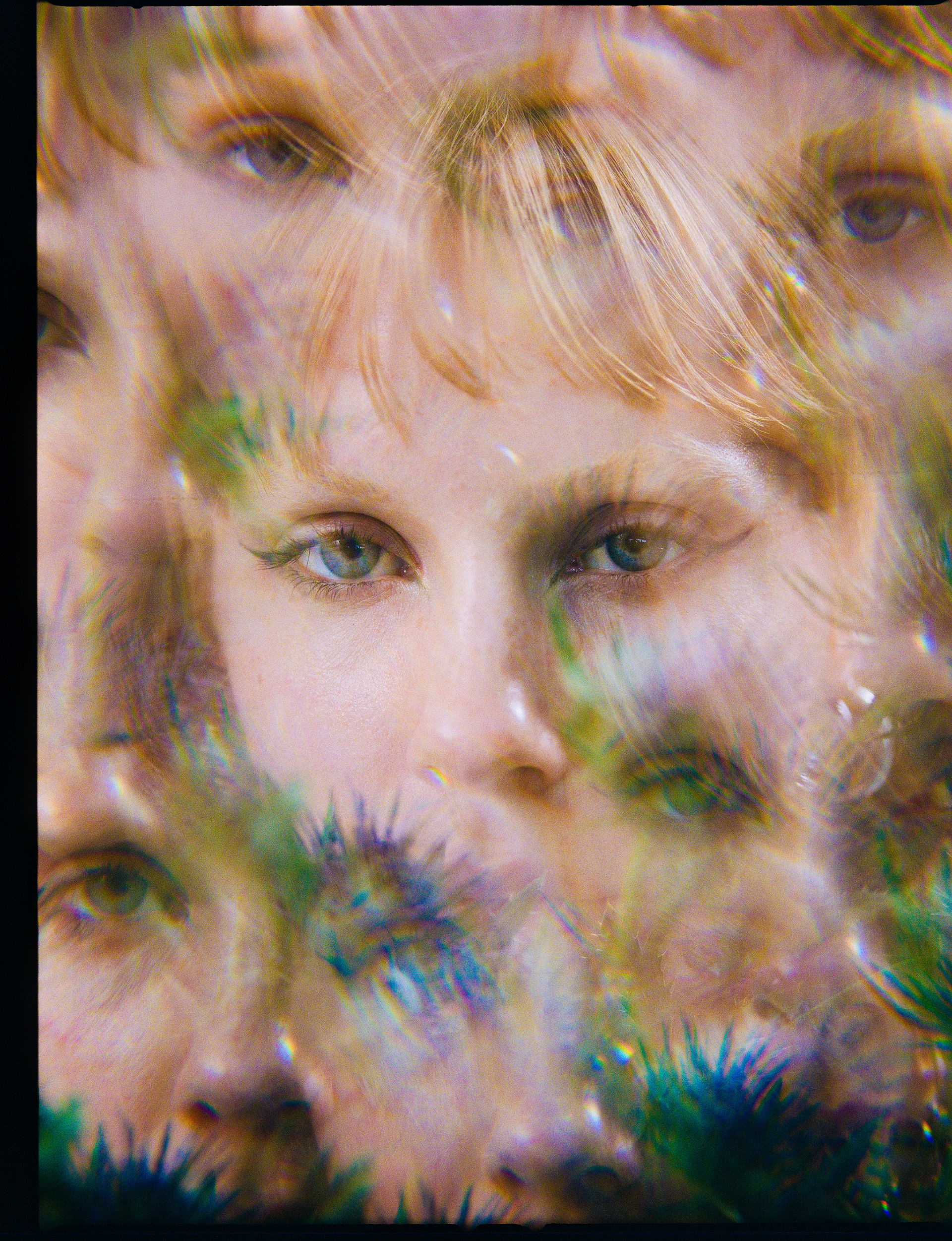 © Alexis Rodríguez Cancino. All Rights Reserved.