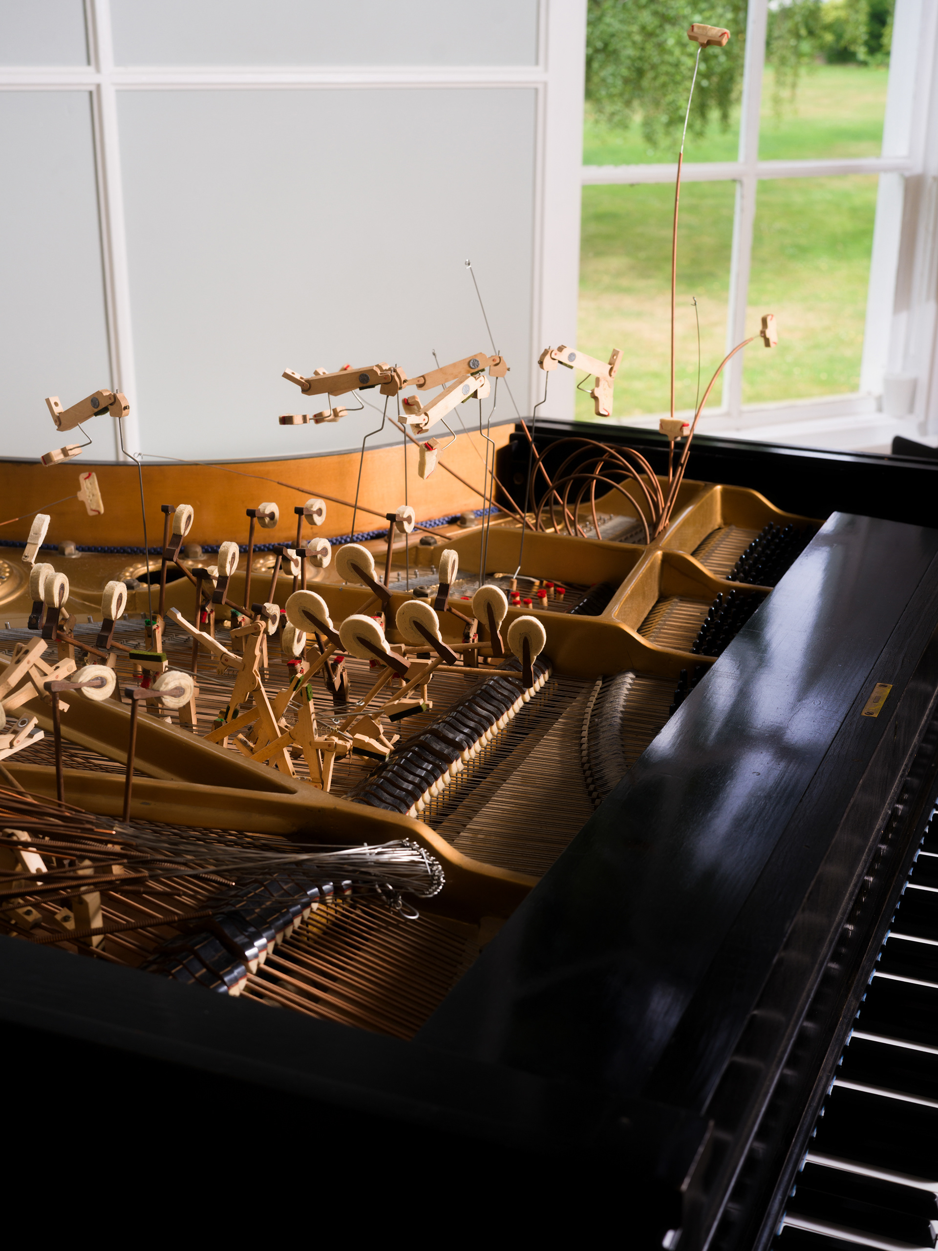 © Alexis Rodríguez Cancino. All Rights Reserved.