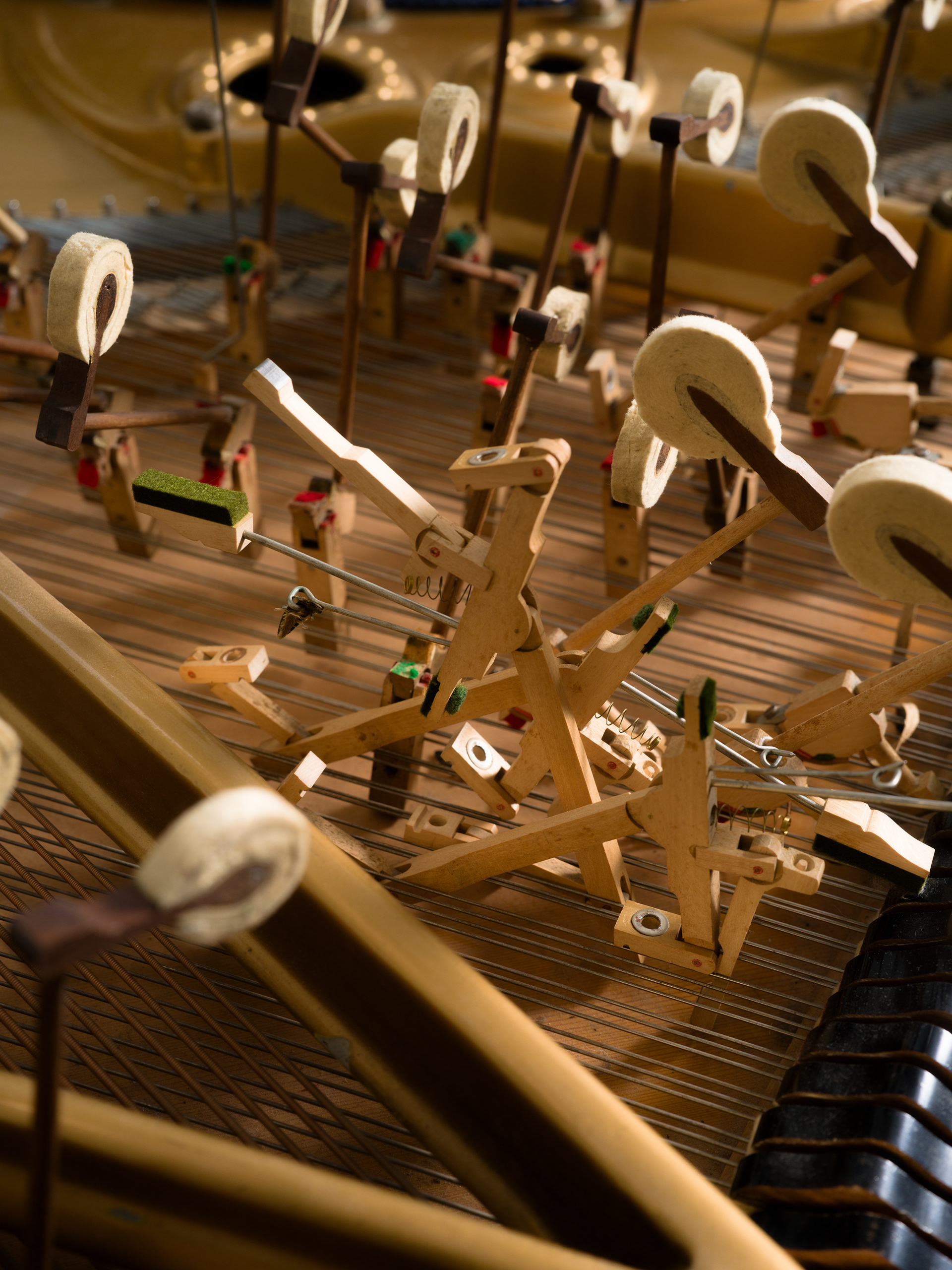 © Alexis Rodríguez Cancino. All Rights Reserved.