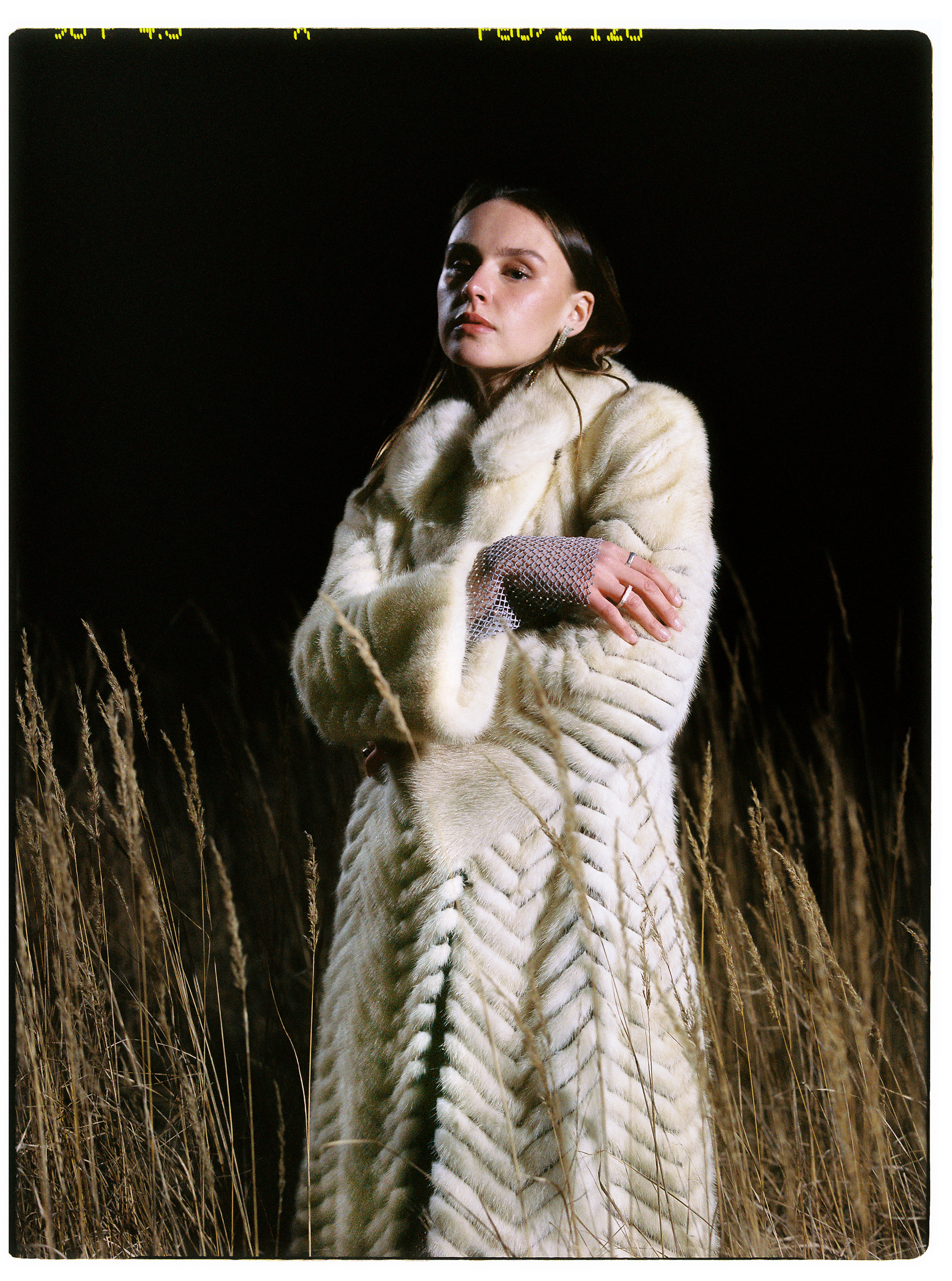 © Alexis Rodríguez Cancino. All Rights Reserved.