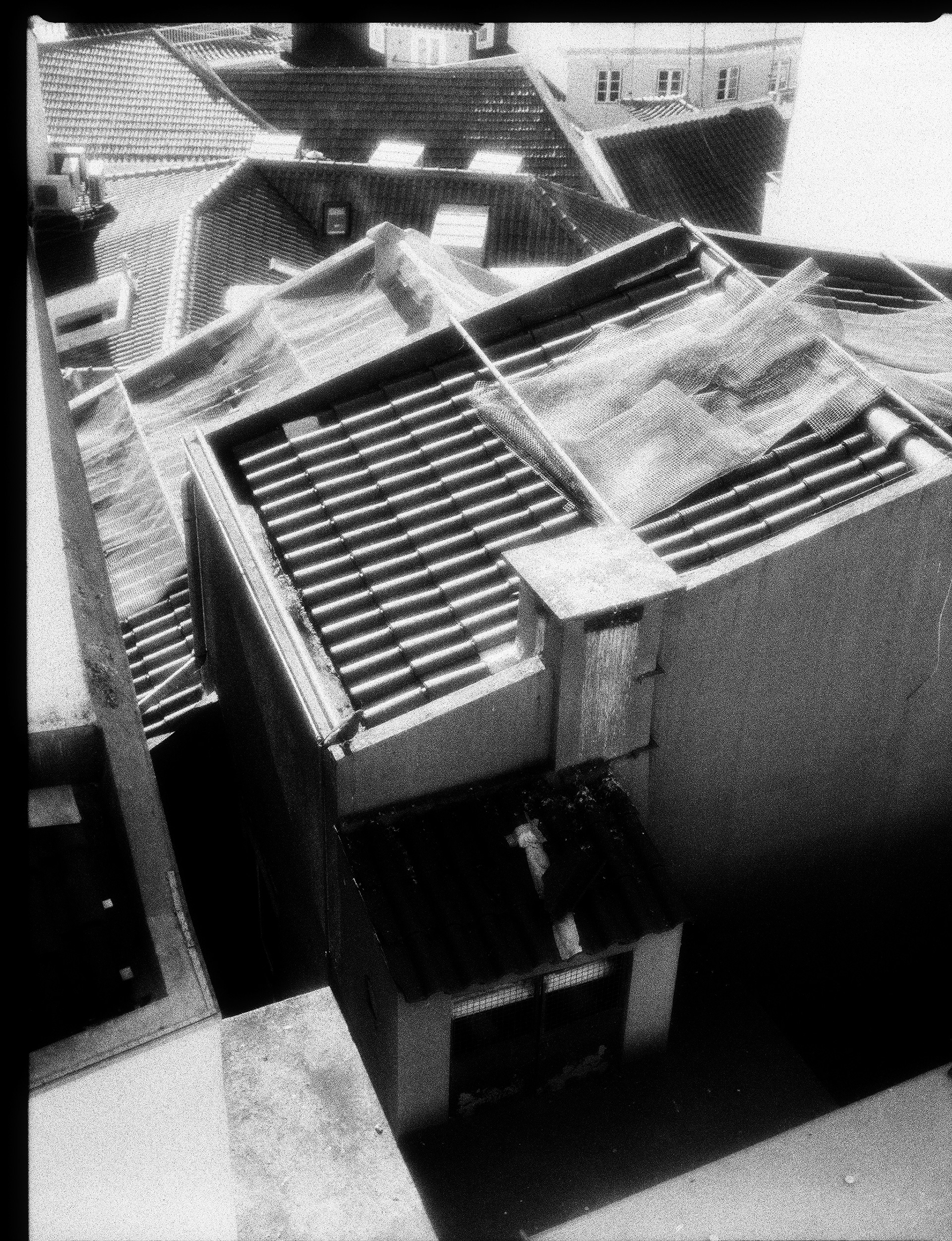 © Alexis Rodríguez Cancino. All Rights Reserved.