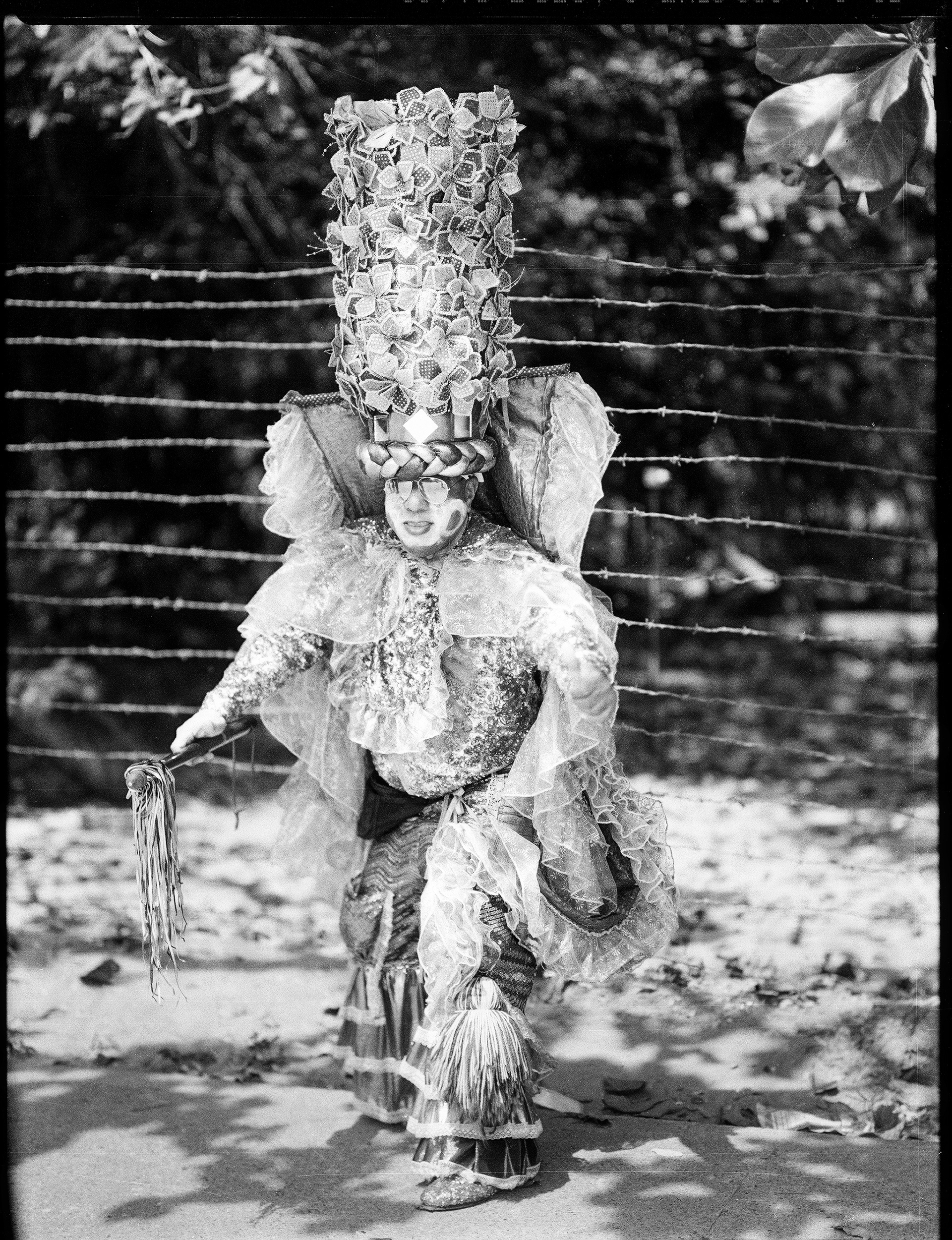 © Alexis Rodríguez Cancino. All Rights Reserved.