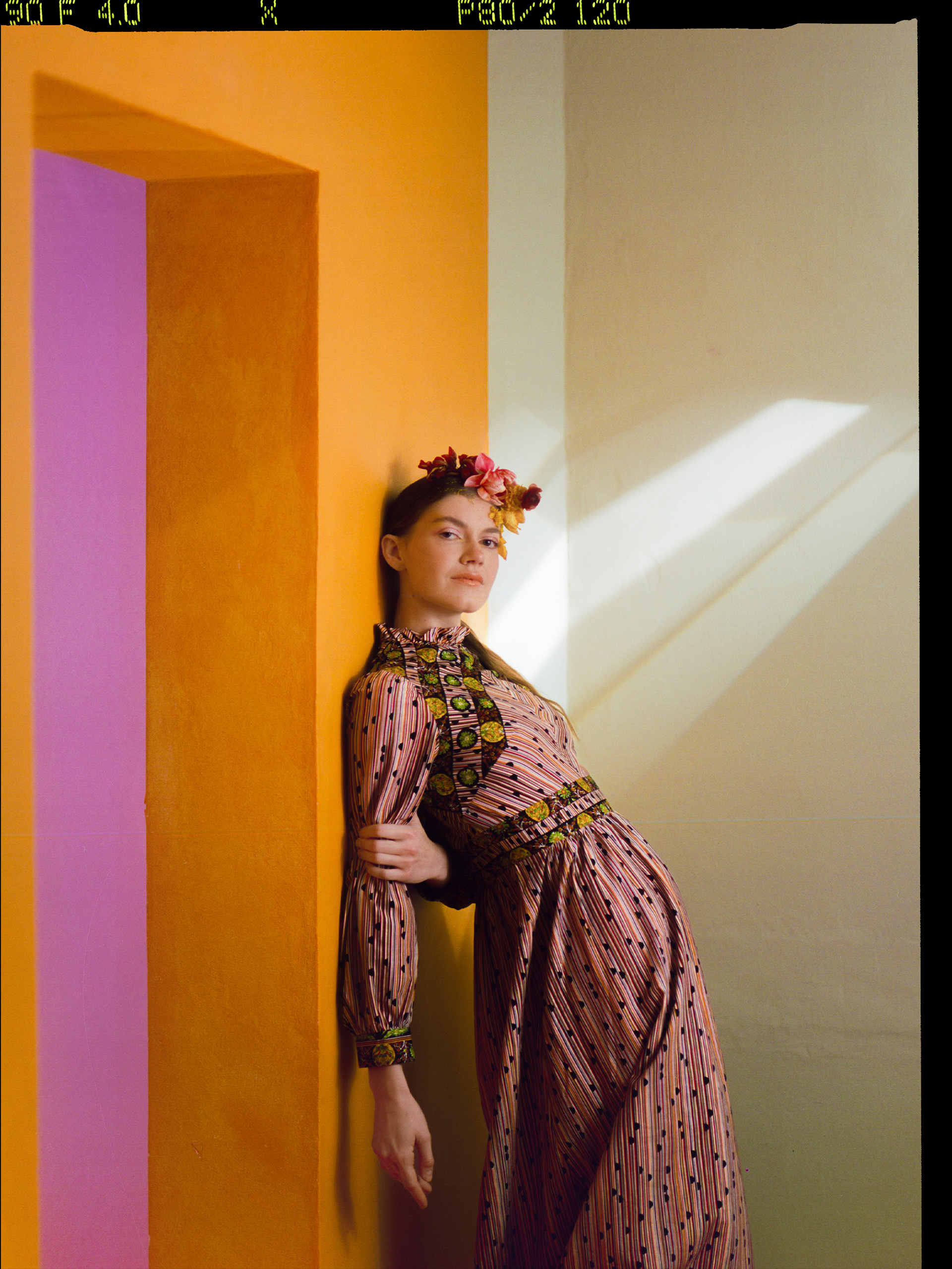 © Alexis Rodríguez Cancino. All Rights Reserved.