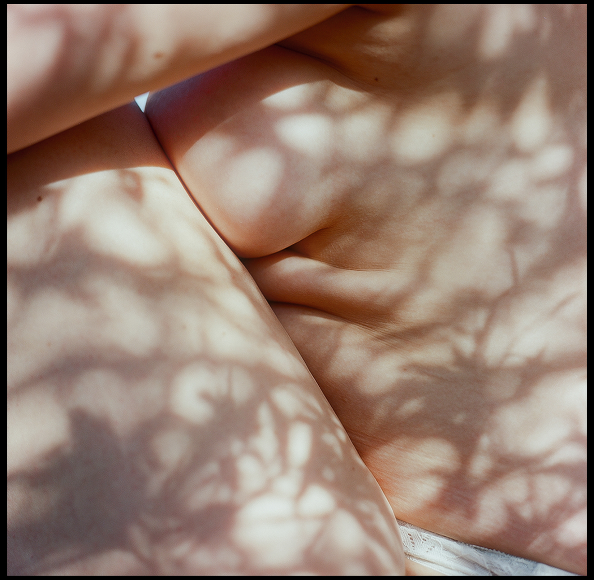 © Alexis Rodríguez Cancino. All Rights Reserved.