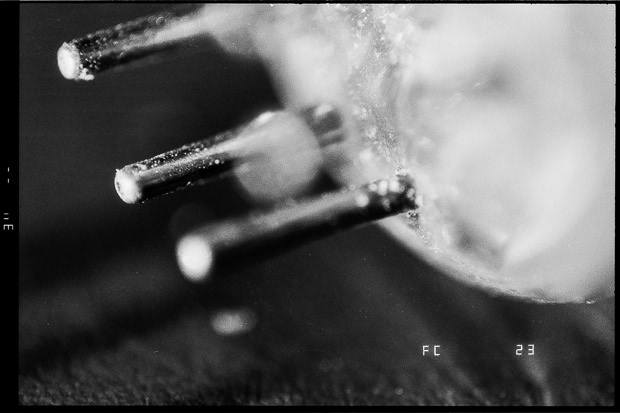 © Alexis Rodríguez Cancino. All Rights Reserved.