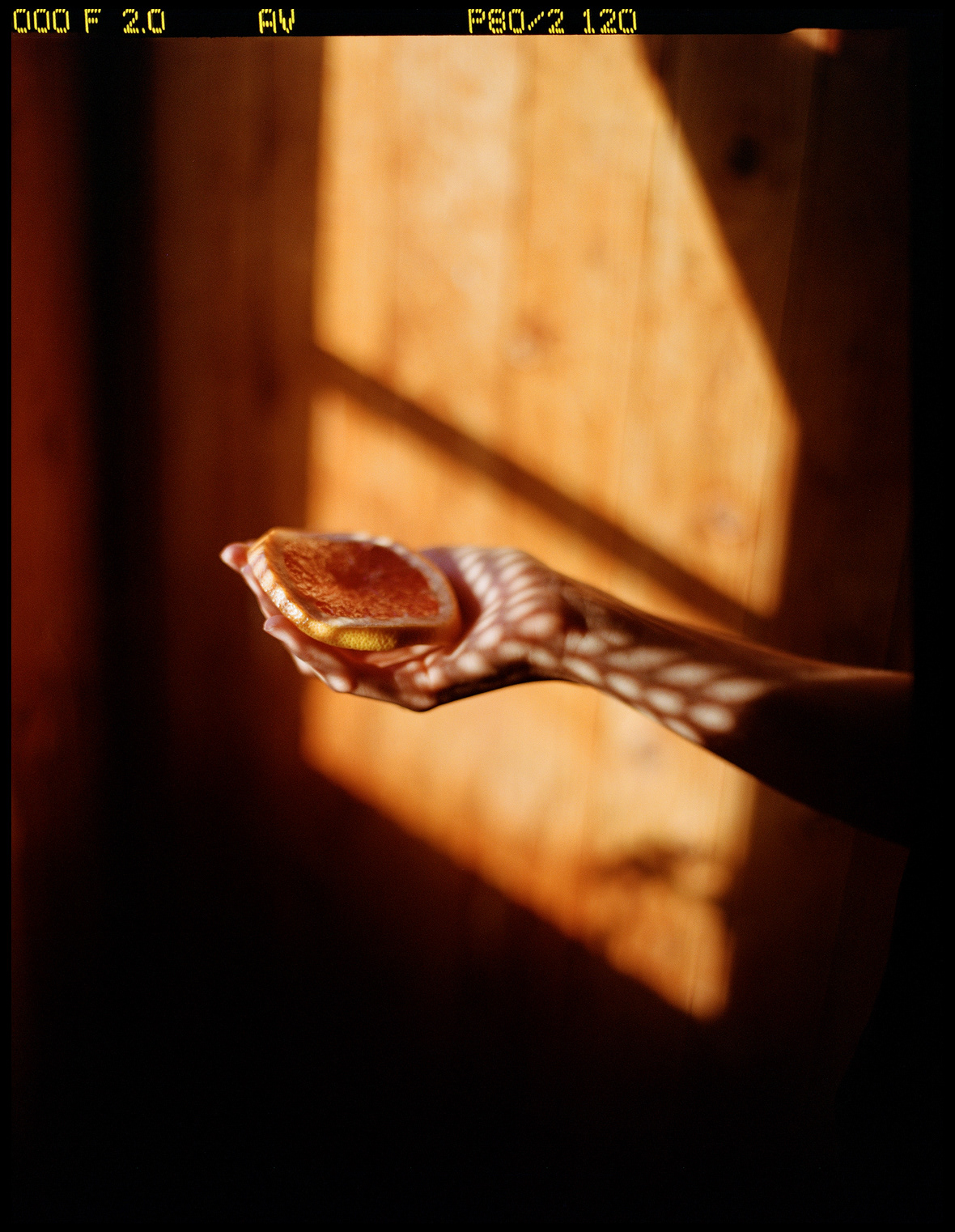 © Alexis Rodríguez Cancino. All Rights Reserved.