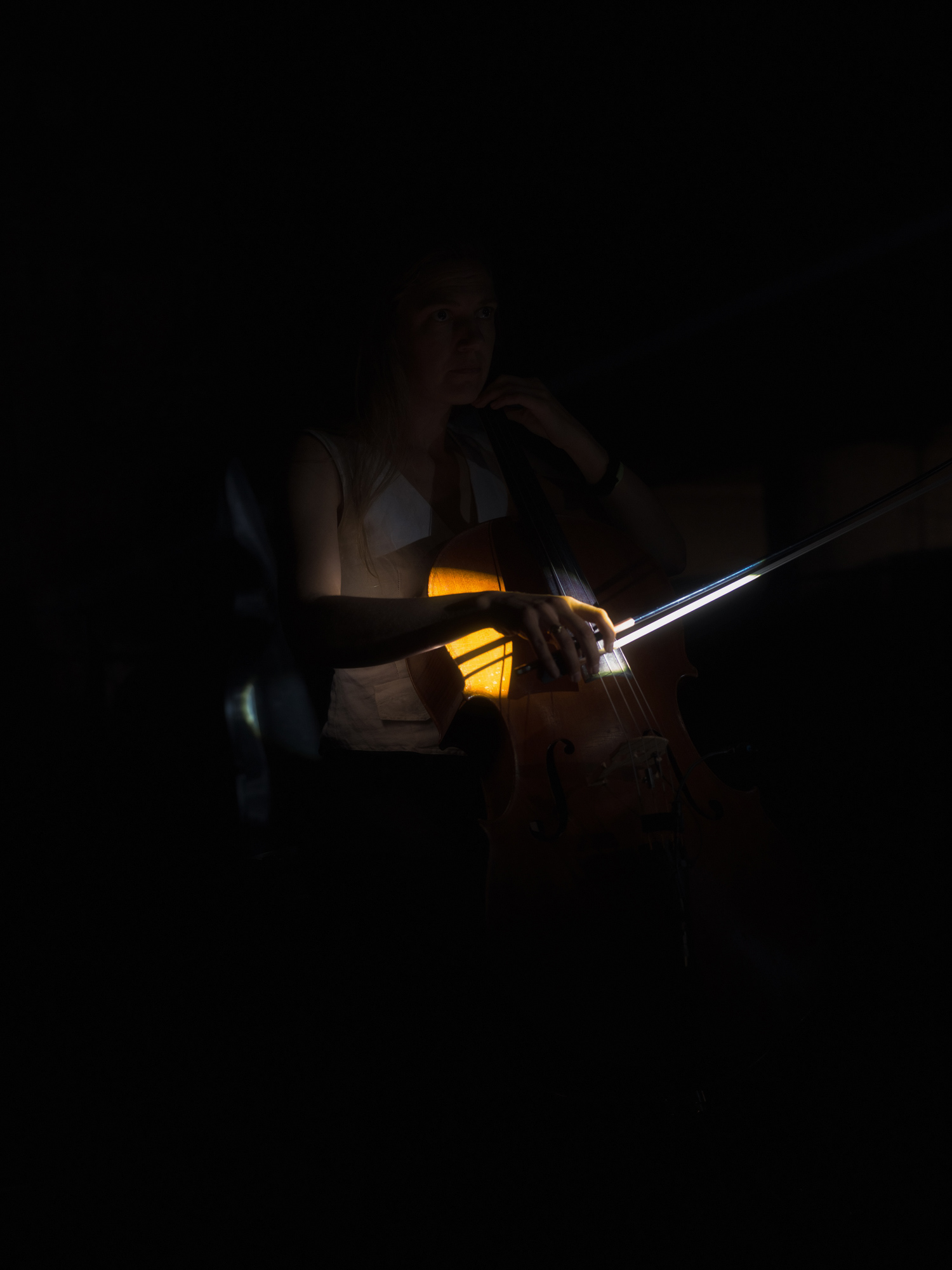 © Alexis Rodríguez Cancino. All Rights Reserved.