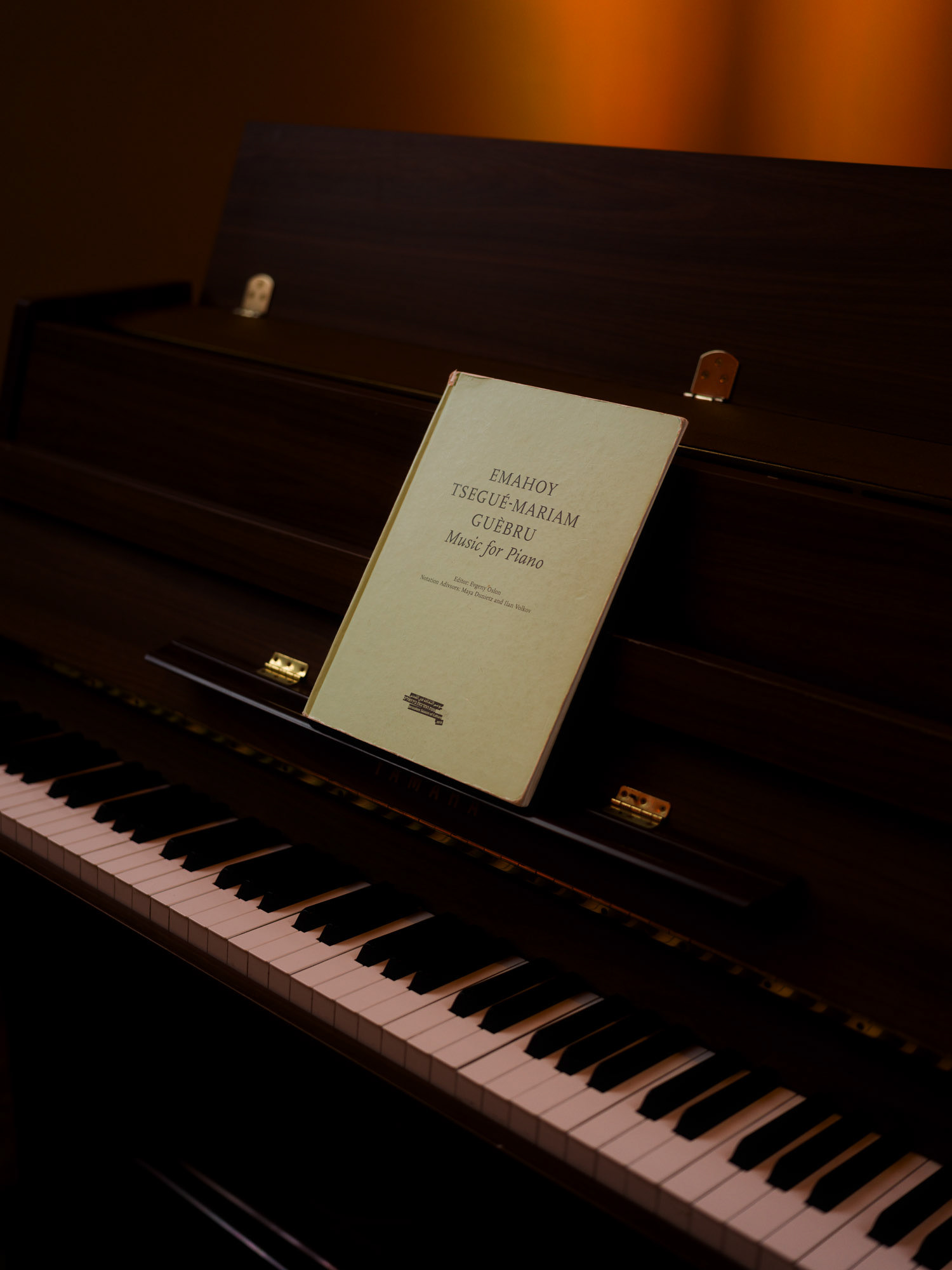 © Alexis Rodríguez Cancino. All Rights Reserved.