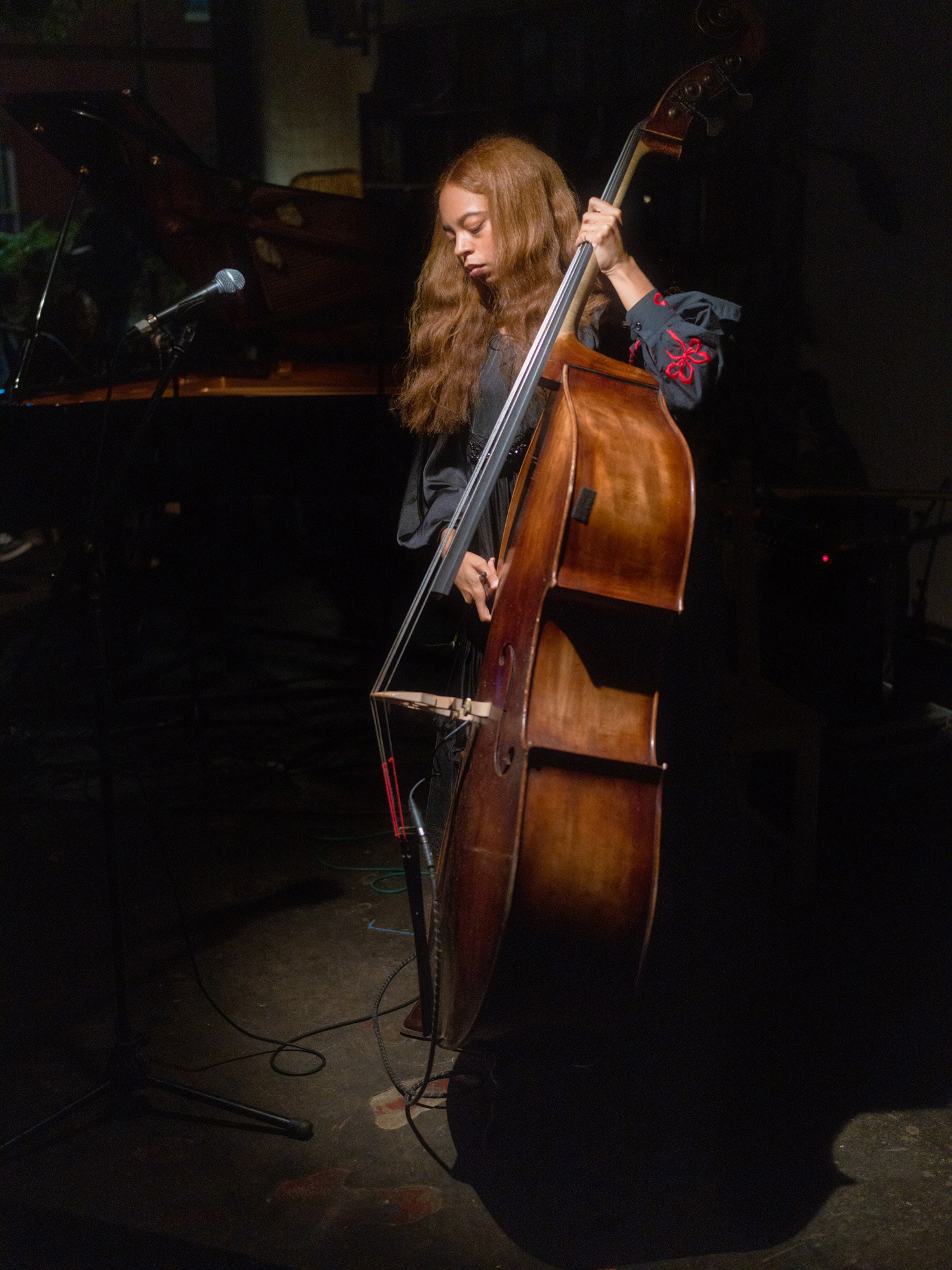 © Alexis Rodríguez Cancino. All Rights Reserved.