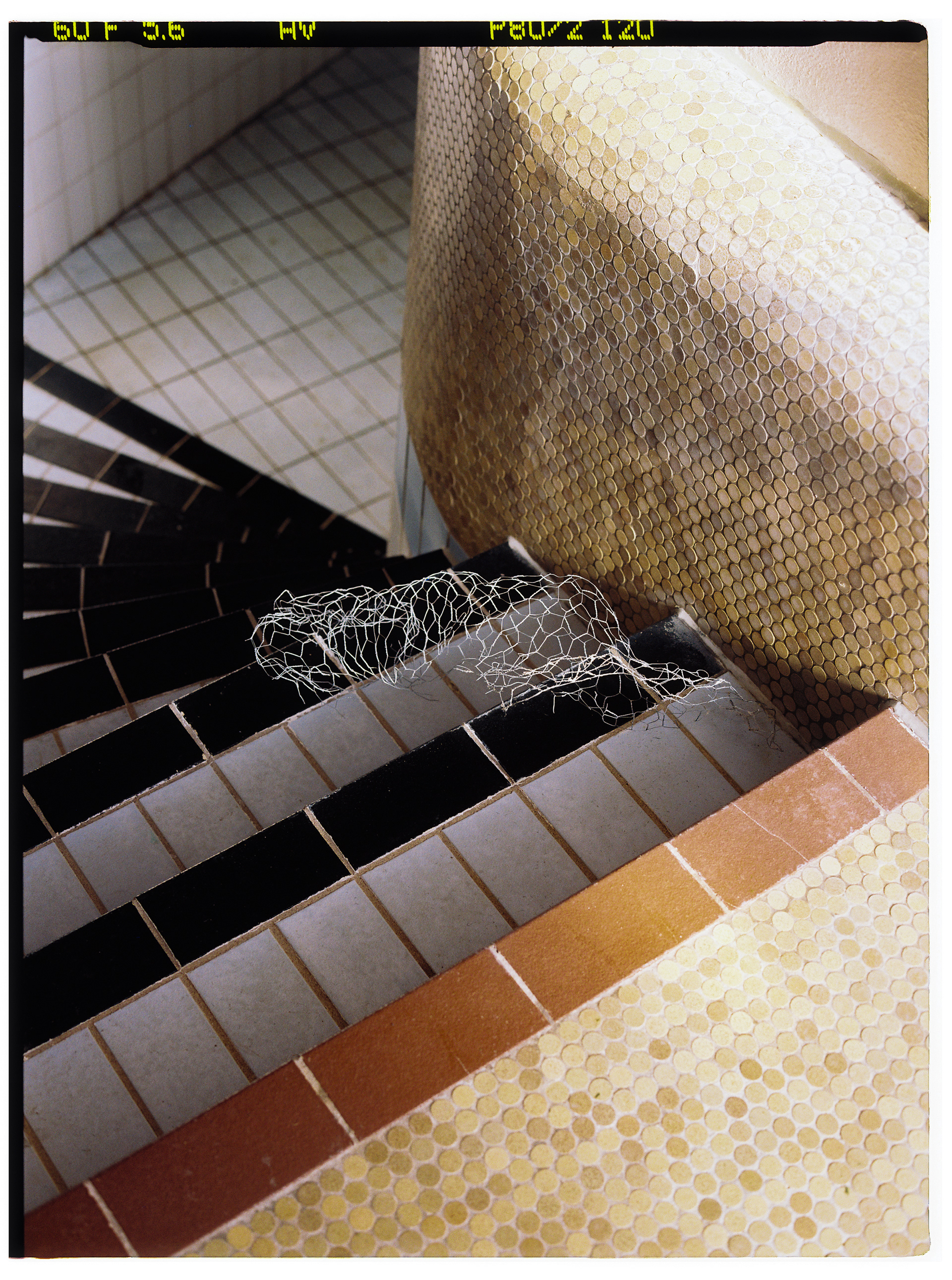 © Alexis Rodríguez Cancino. All Rights Reserved.