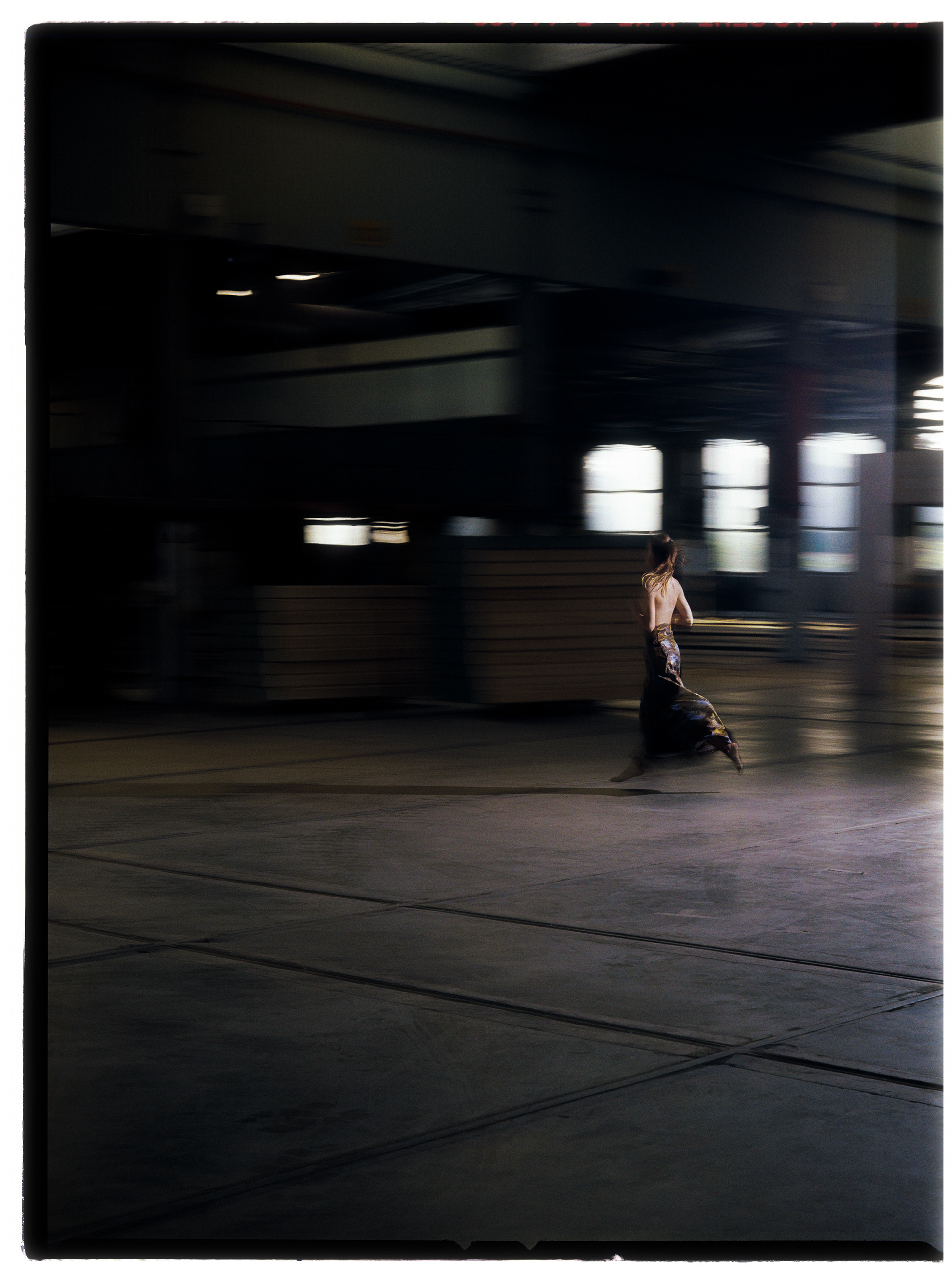 © Alexis Rodríguez Cancino. All Rights Reserved.