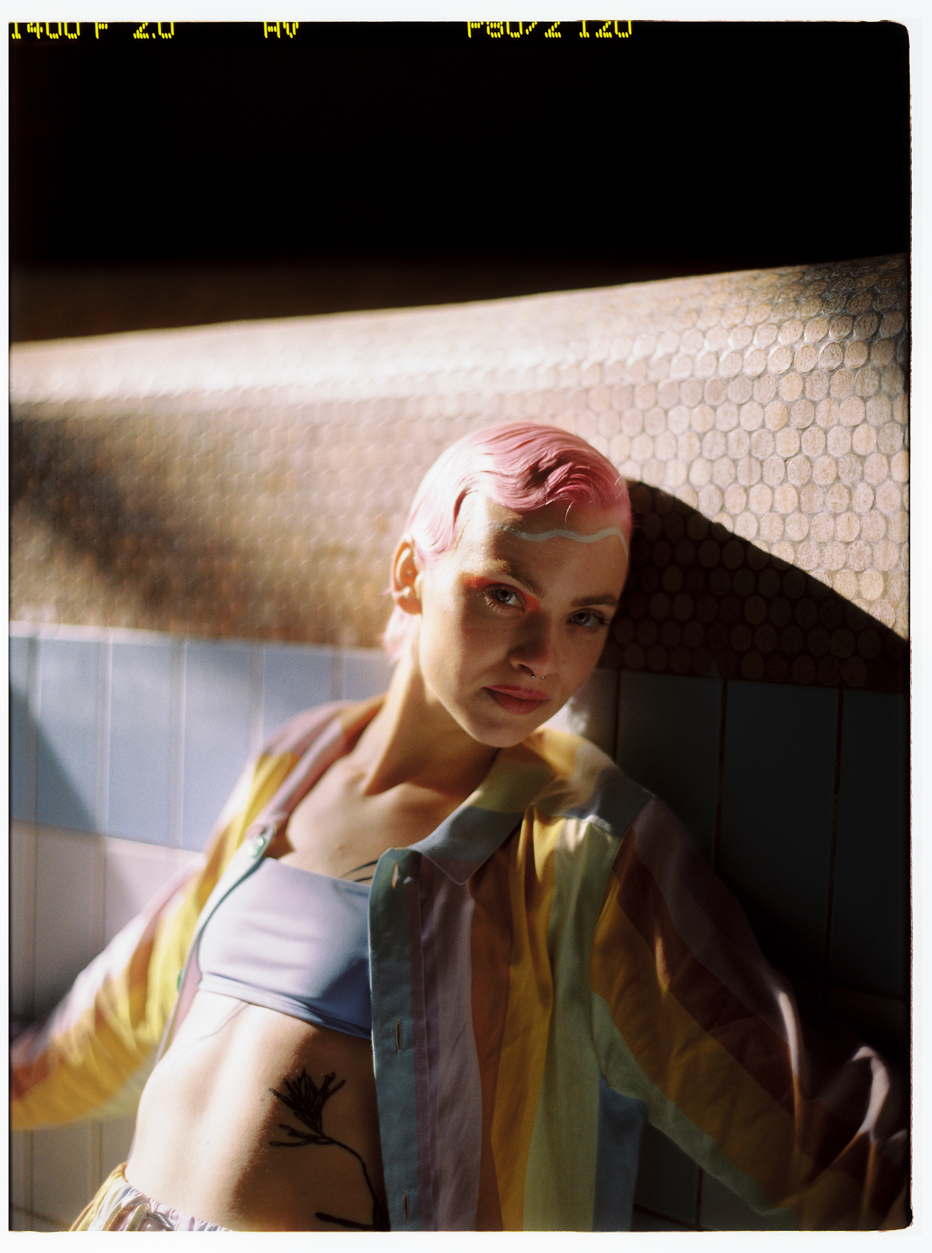 © Alexis Rodríguez Cancino. All Rights Reserved.