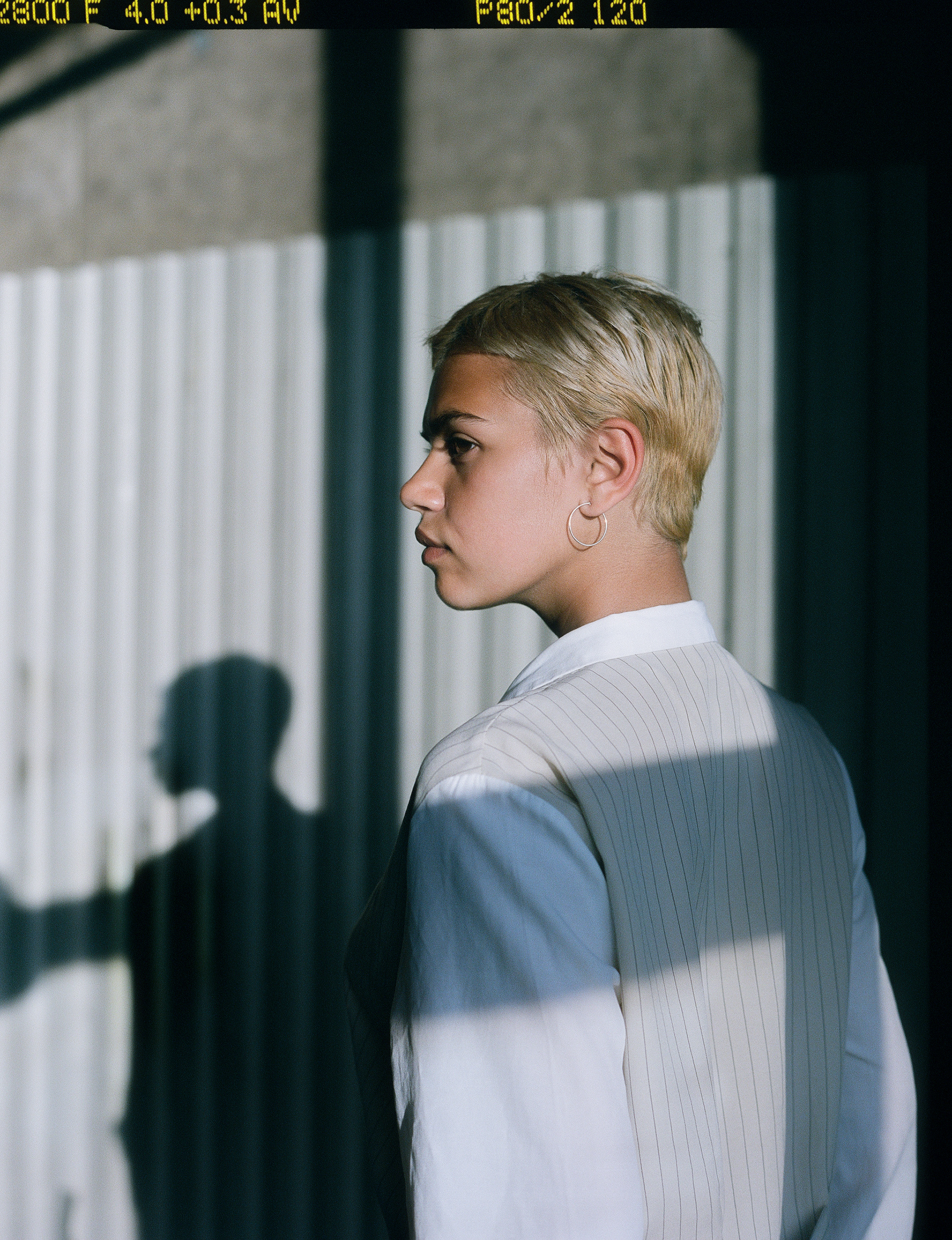 © Alexis Rodríguez Cancino. All Rights Reserved.