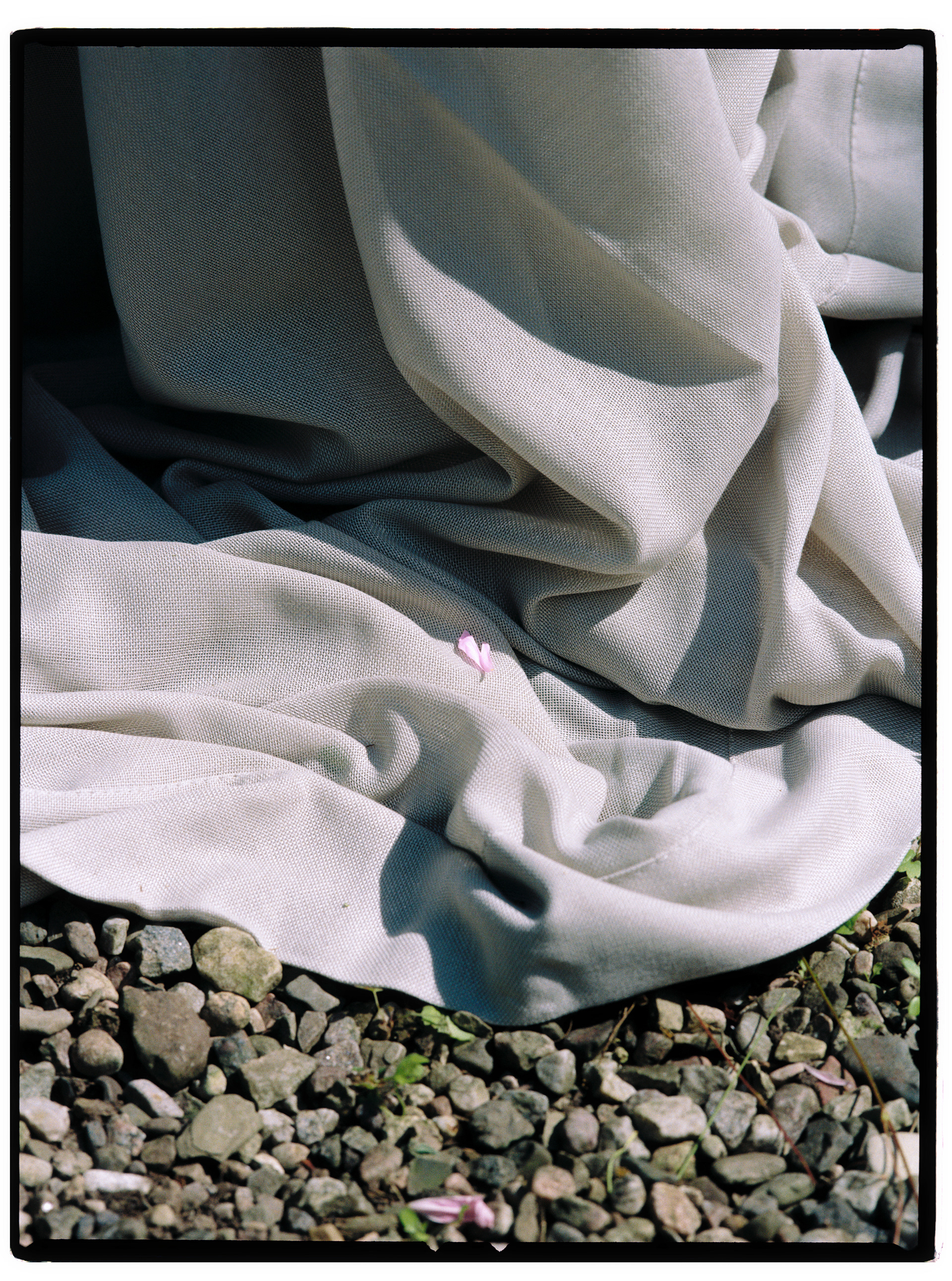 © Alexis Rodríguez Cancino. All Rights Reserved.