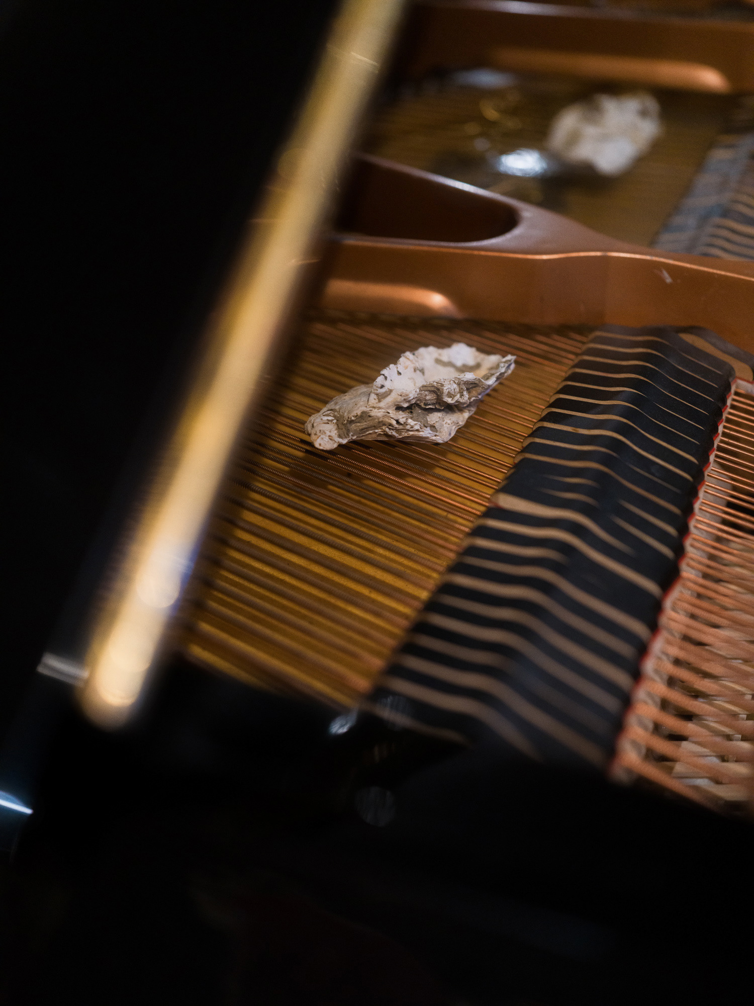 © Alexis Rodríguez Cancino. All Rights Reserved.