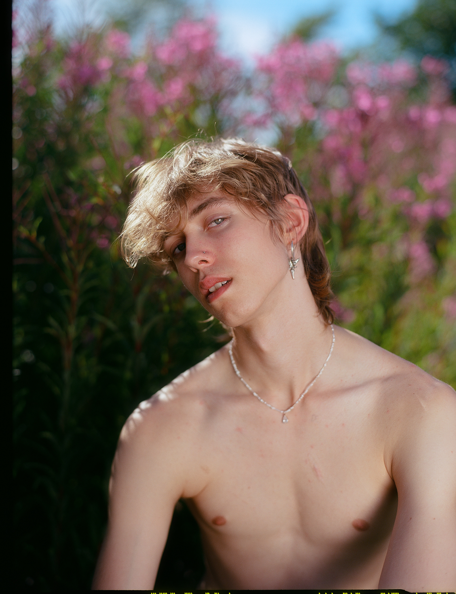 © Alexis Rodríguez Cancino. All Rights Reserved.