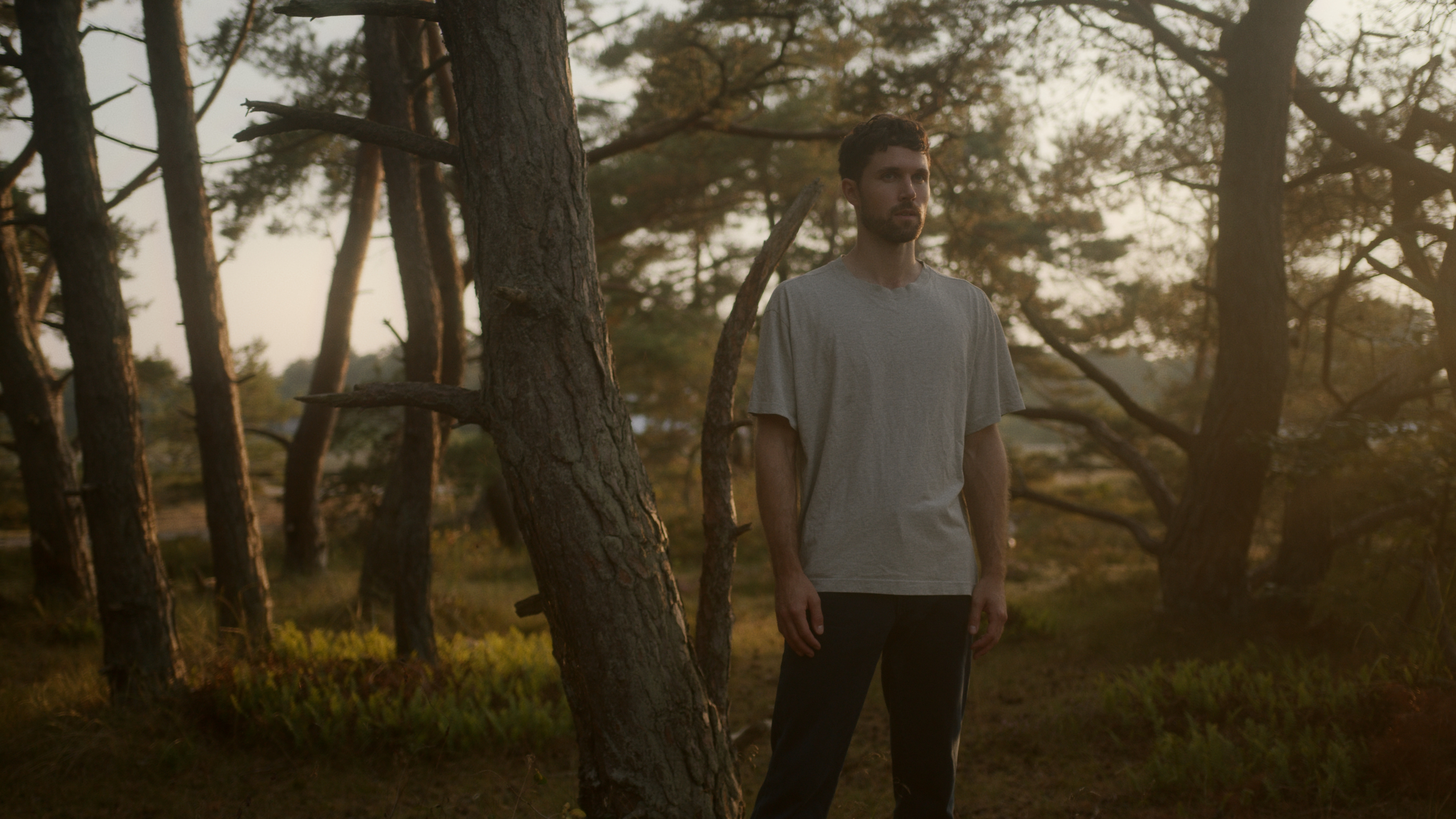 Liminal / Jannik Jivung - Hölviken 2022