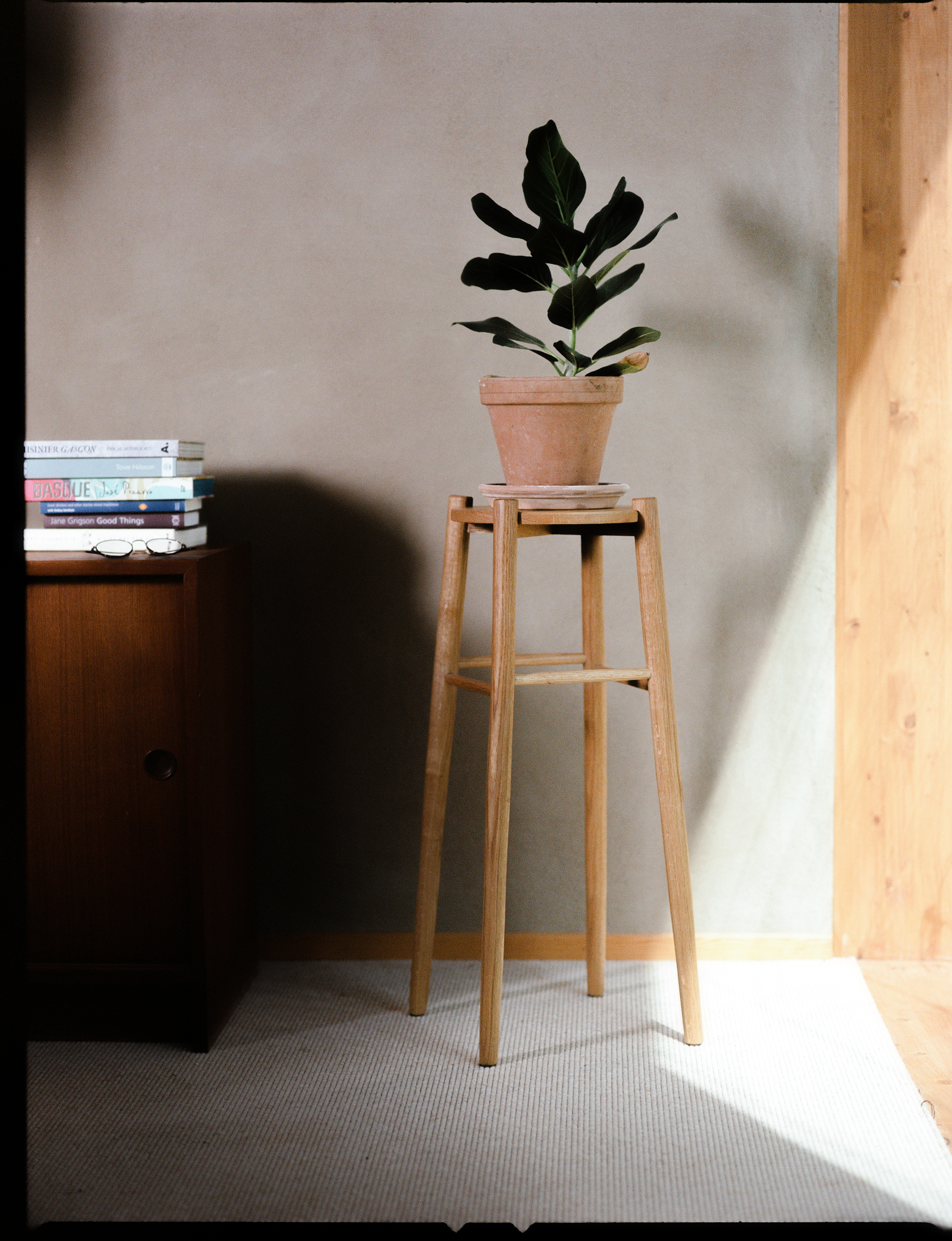 © Alexis Rodríguez Cancino. All Rights Reserved.