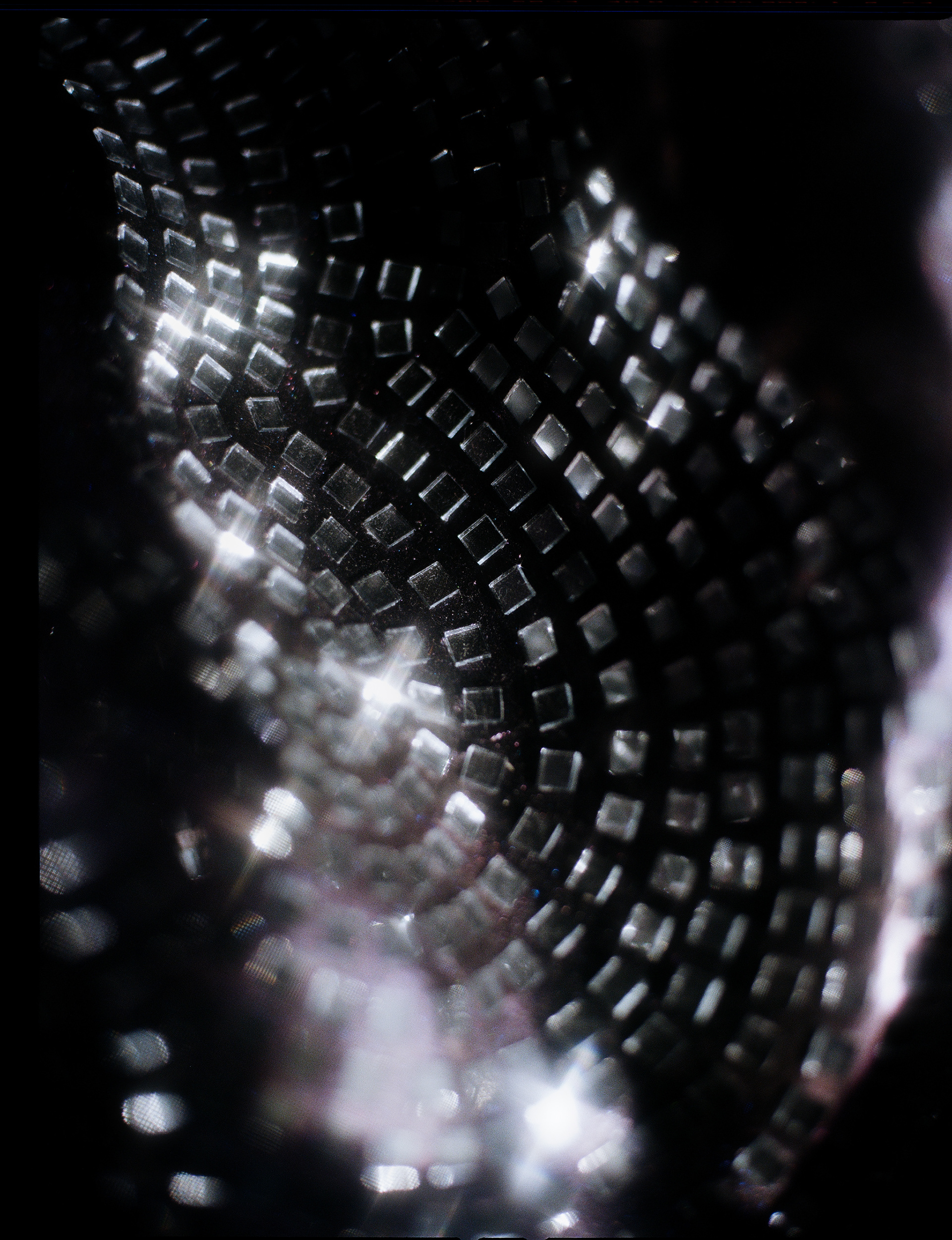 © Alexis Rodríguez Cancino. All Rights Reserved.