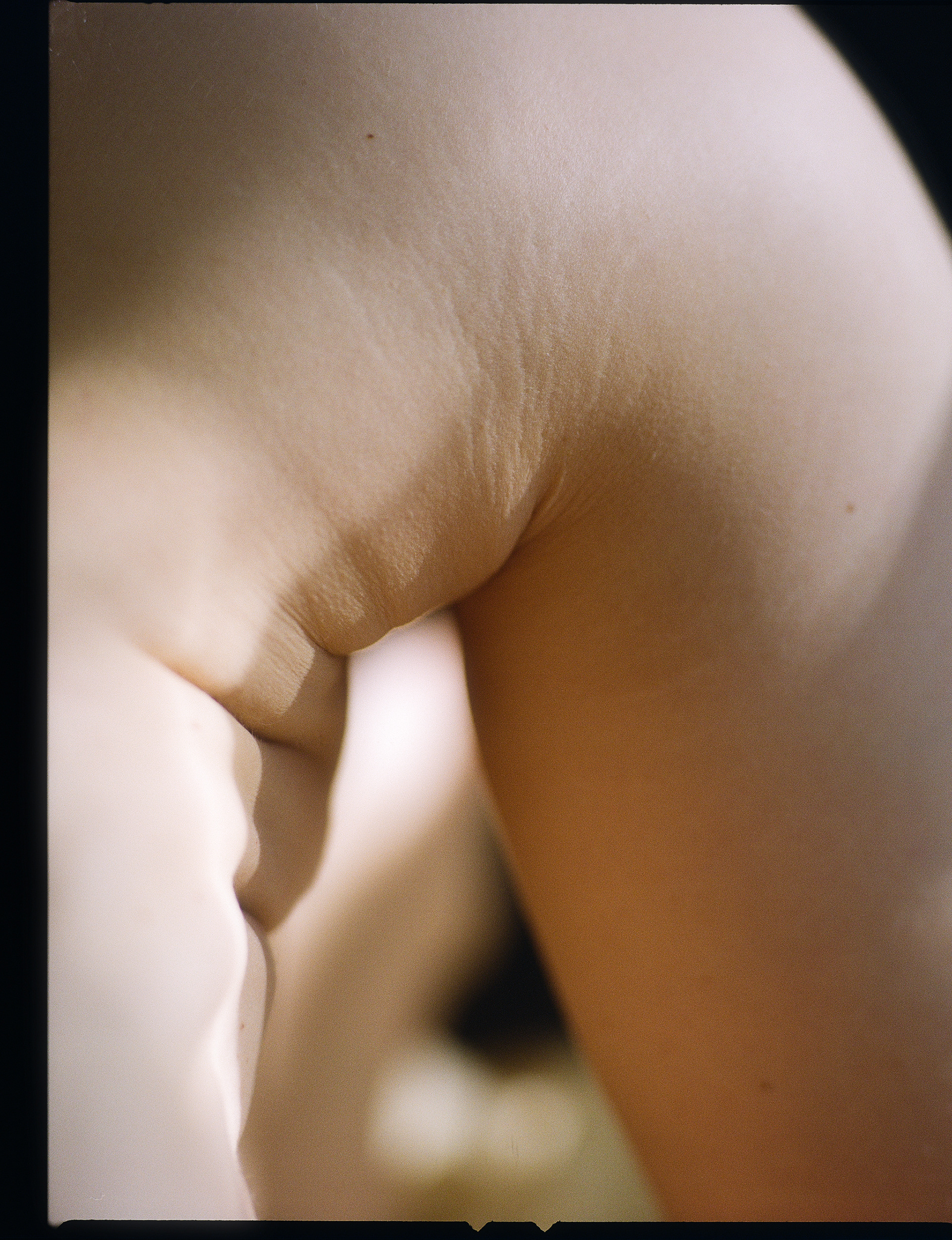 © Alexis Rodríguez Cancino. All Rights Reserved.