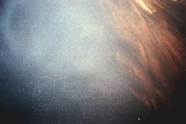 © Alexis Rodríguez Cancino. All Rights Reserved.