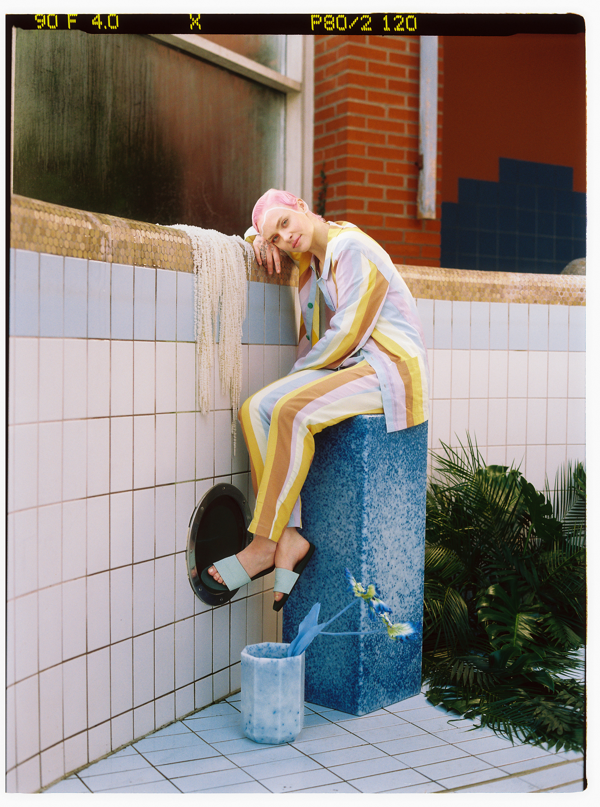 © Alexis Rodríguez Cancino. All Rights Reserved.