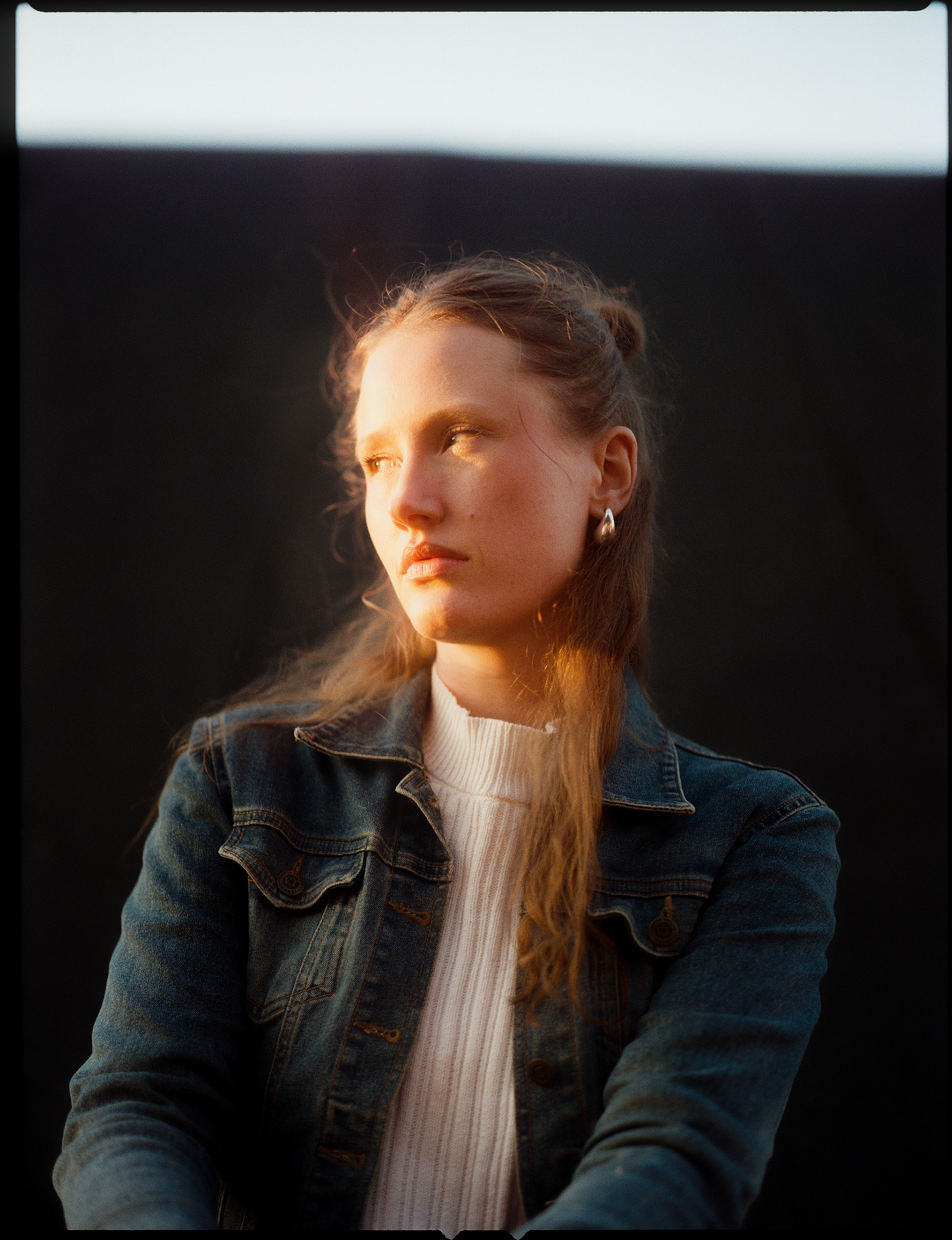 © Alexis Rodríguez Cancino. All Rights Reserved.