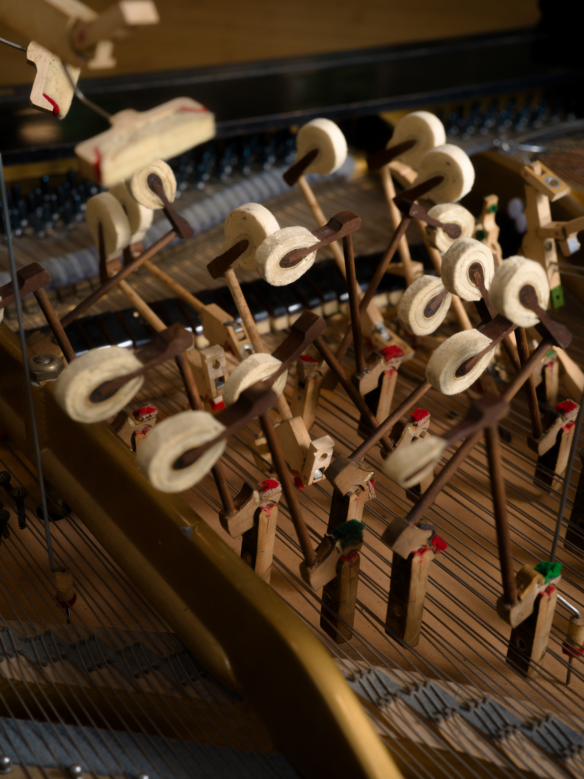 © Alexis Rodríguez Cancino. All Rights Reserved.