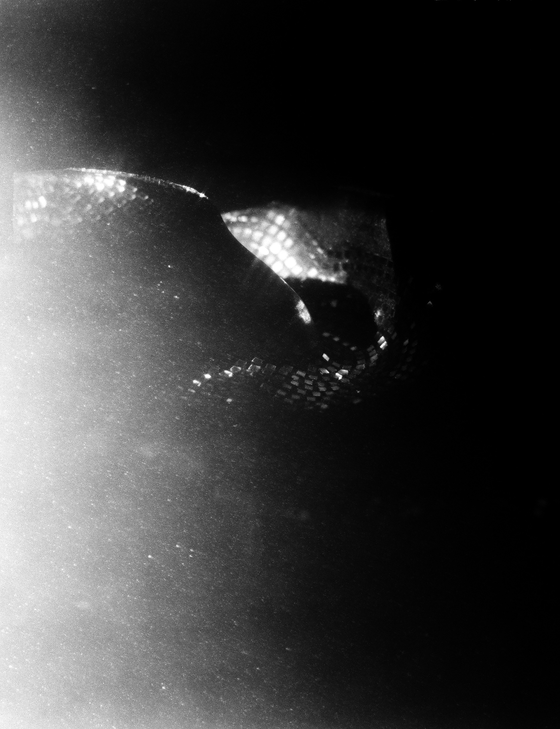 © Alexis Rodríguez Cancino. All Rights Reserved.