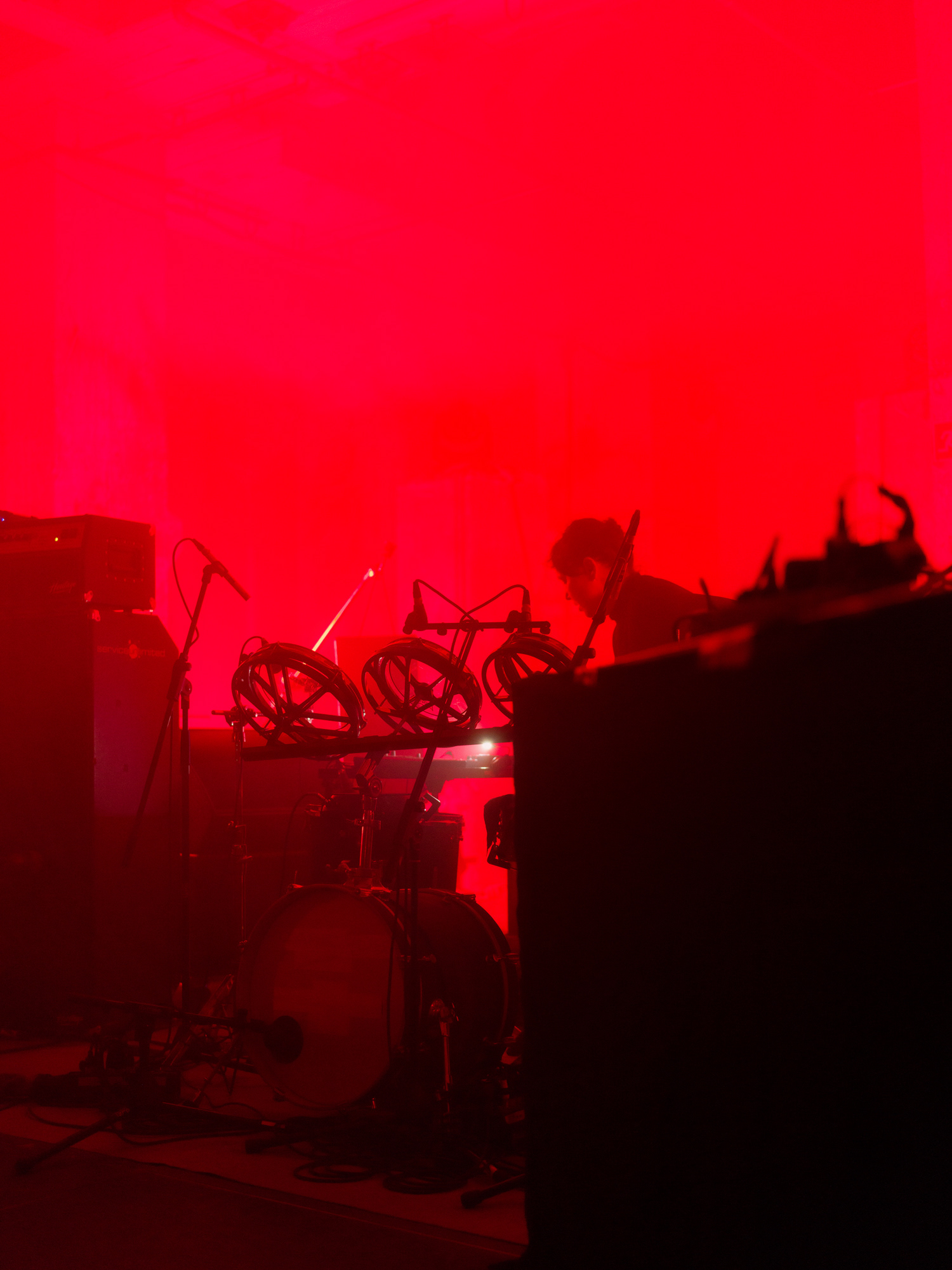 © Alexis Rodríguez Cancino. All Rights Reserved.