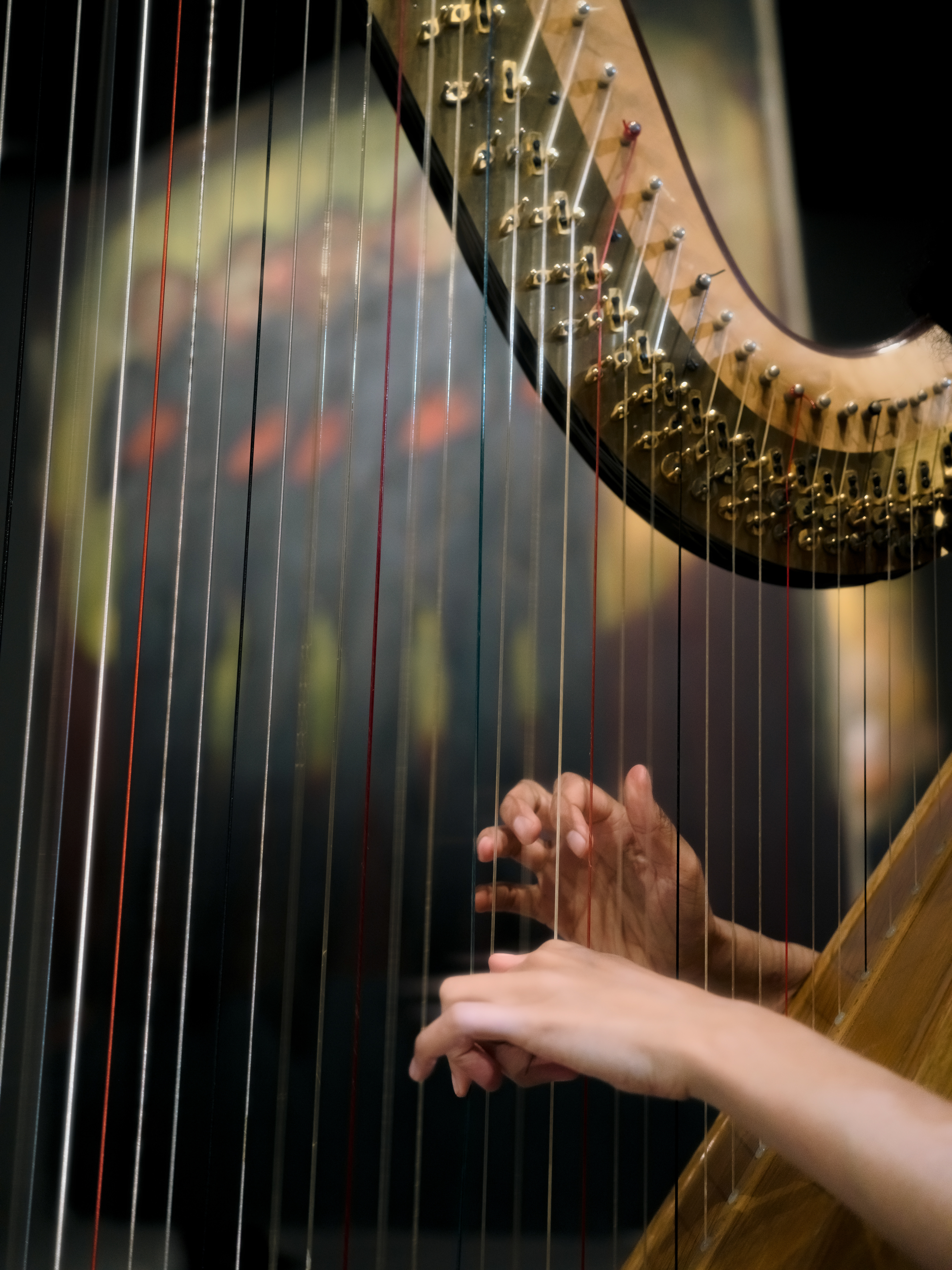 © Alexis Rodríguez Cancino. All Rights Reserved.